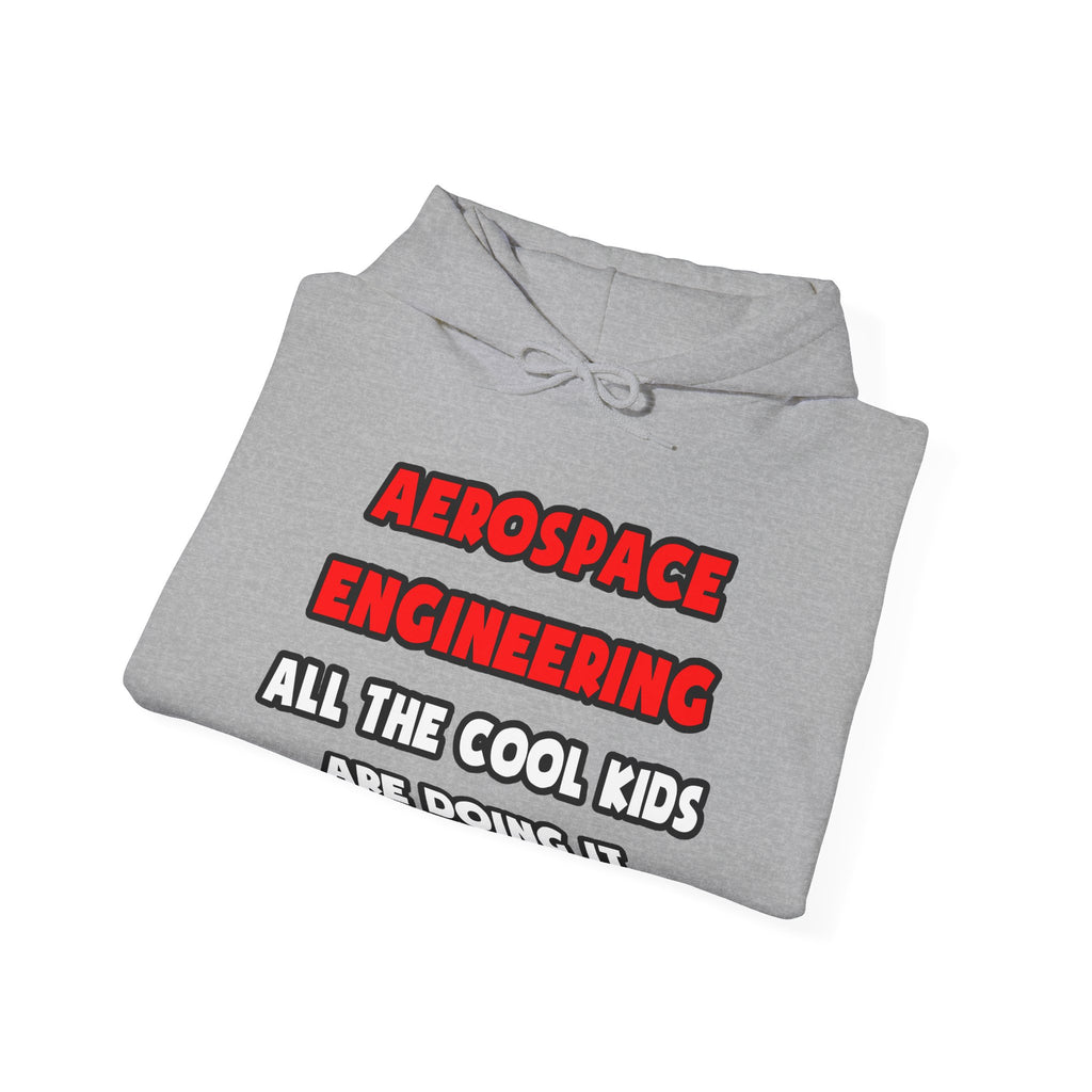 Funny Aerospace Engineer Shirts and Gifts - Unisex Heavy Blend™ Hooded Sweatshirt