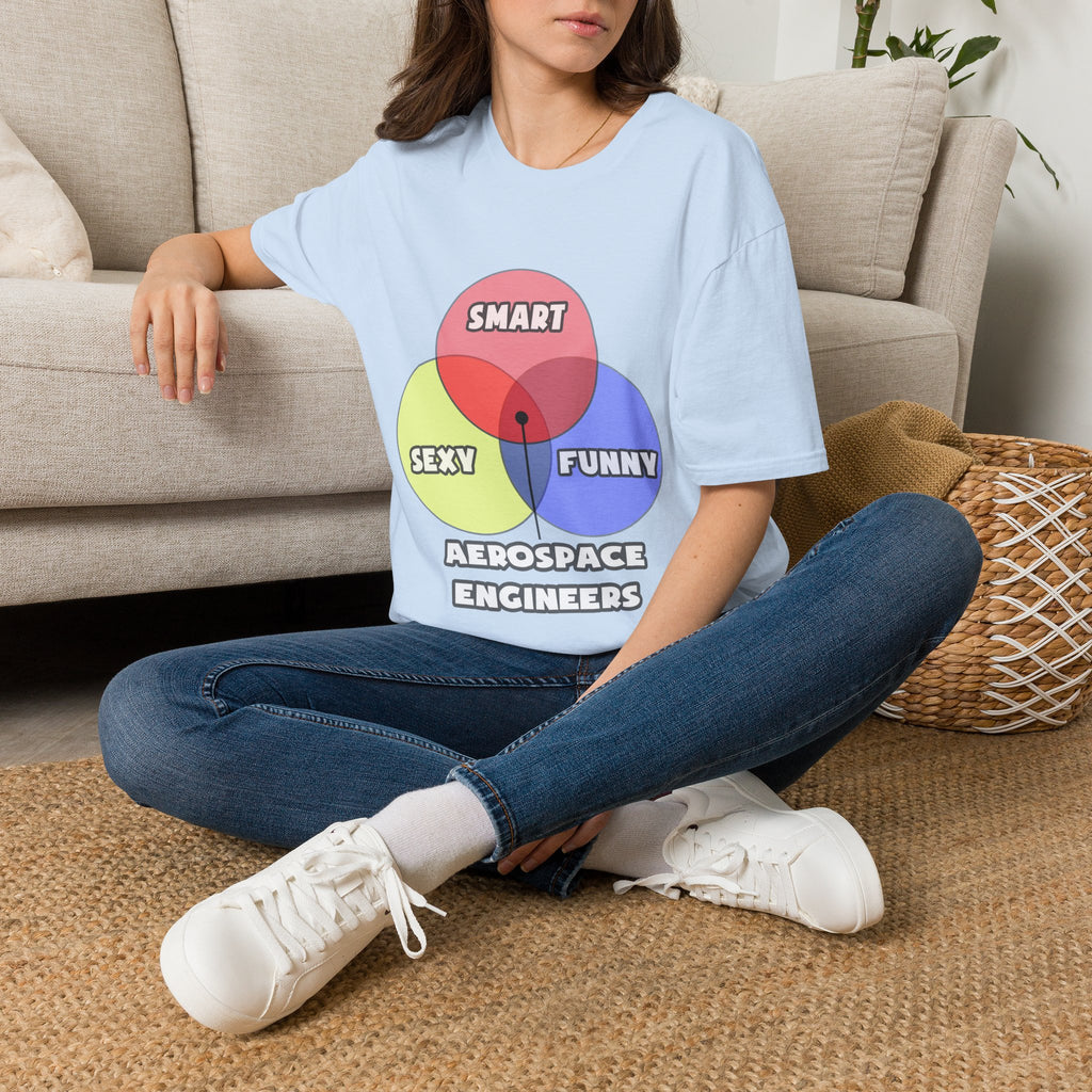 Venn Diagram .. Aerospace Engineers - Unisex Softstyle T-Shirt