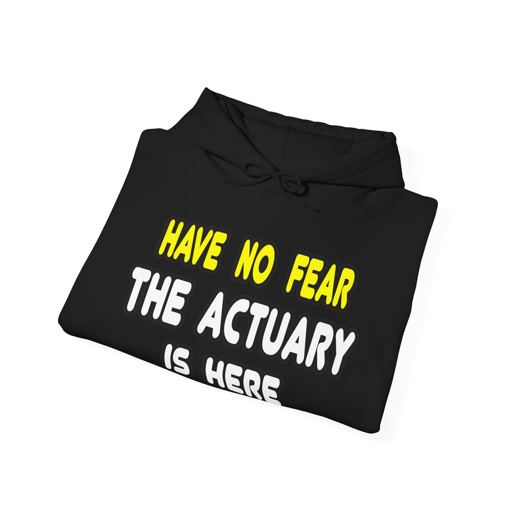 Have No Fear, The Actuary Is Here (2) - Unisex Heavy Blend™ Hooded Sweatshirt