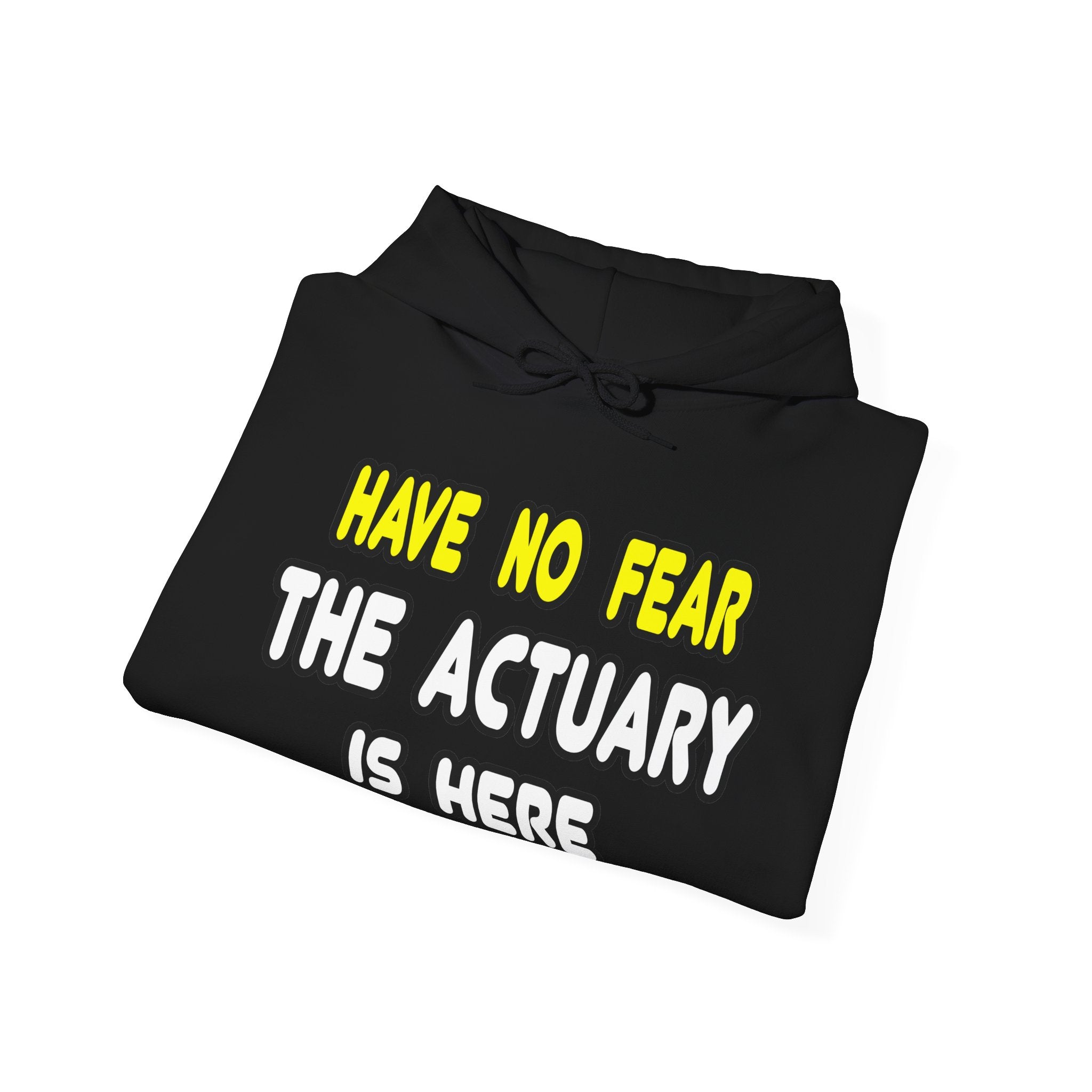 Have No Fear, The Actuary Is Here (2) - Unisex Heavy Blend™ Hooded Sweatshirt