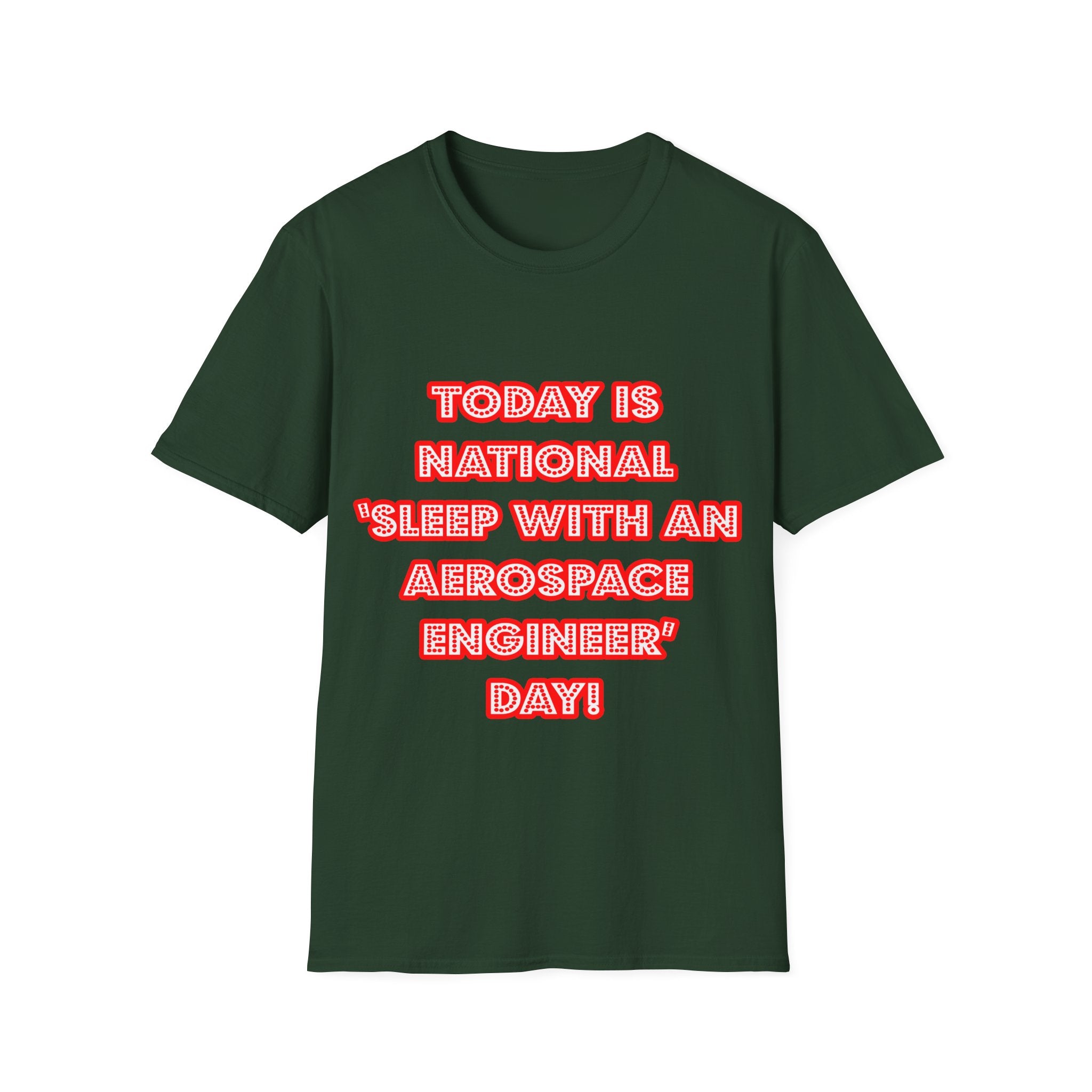 National 'Sleep With an Aerospace Engineer' Day - Unisex Softstyle T-Shirt