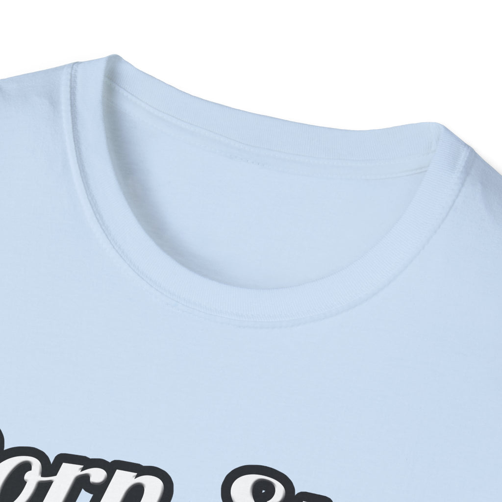 Porn Star...Electrical Engineer - Unisex Softstyle T-Shirt