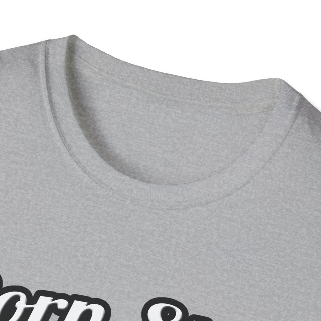 Porn Star...Electrical Engineer - Unisex Softstyle T-Shirt