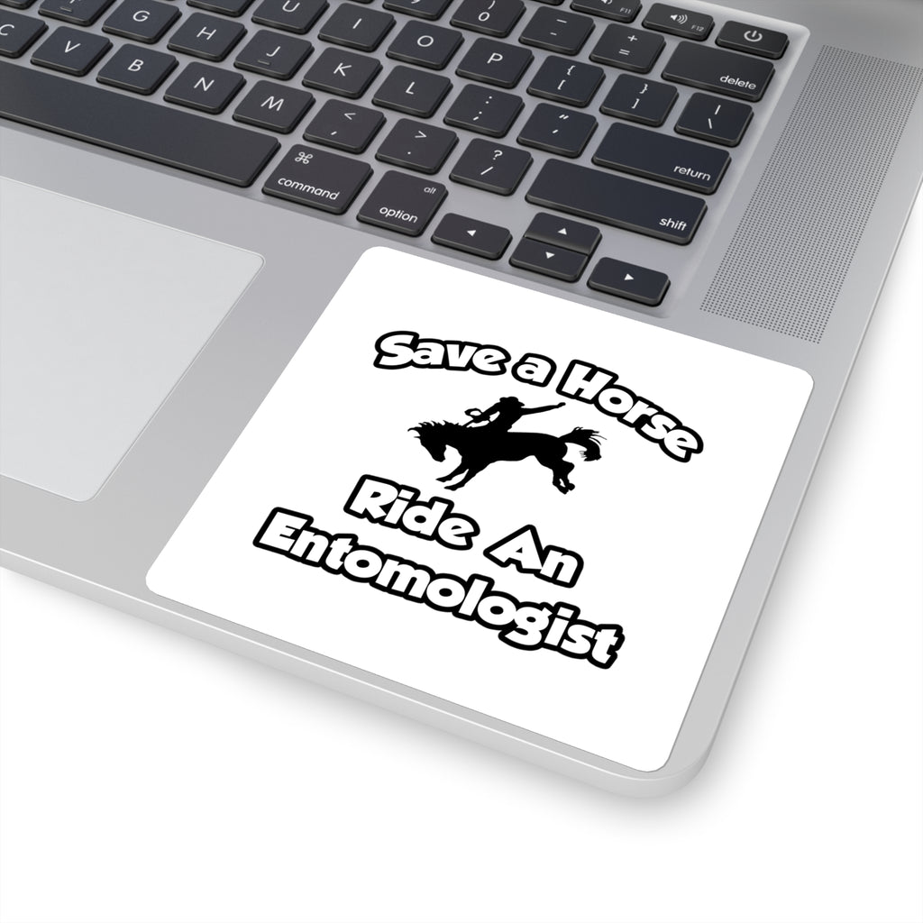 Save a Horse, Ride an Entomologist - Square Stickers