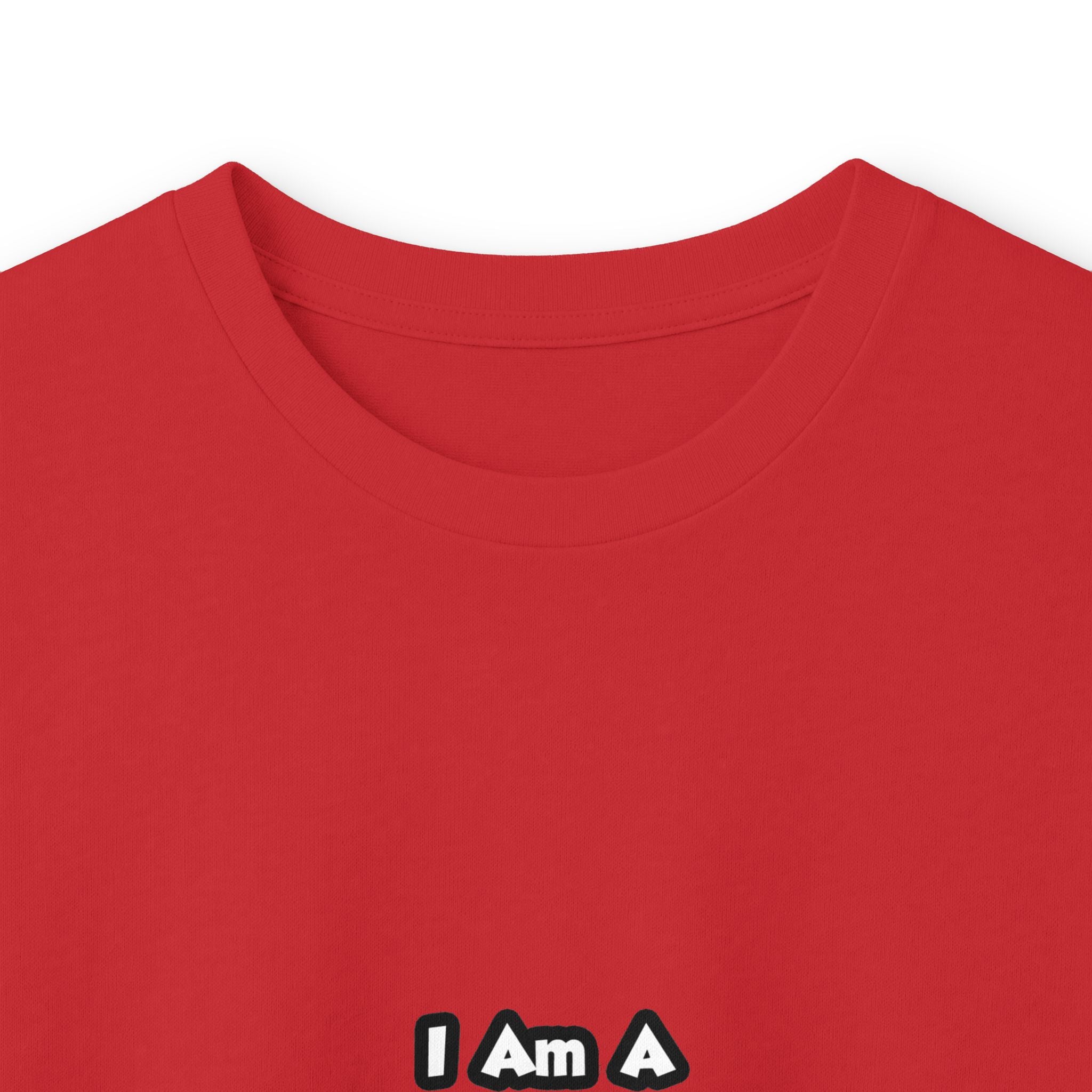 Professional Air Traffic Controller ... Don't Try - Unisex Ultra Cotton Long Sleeve Tee