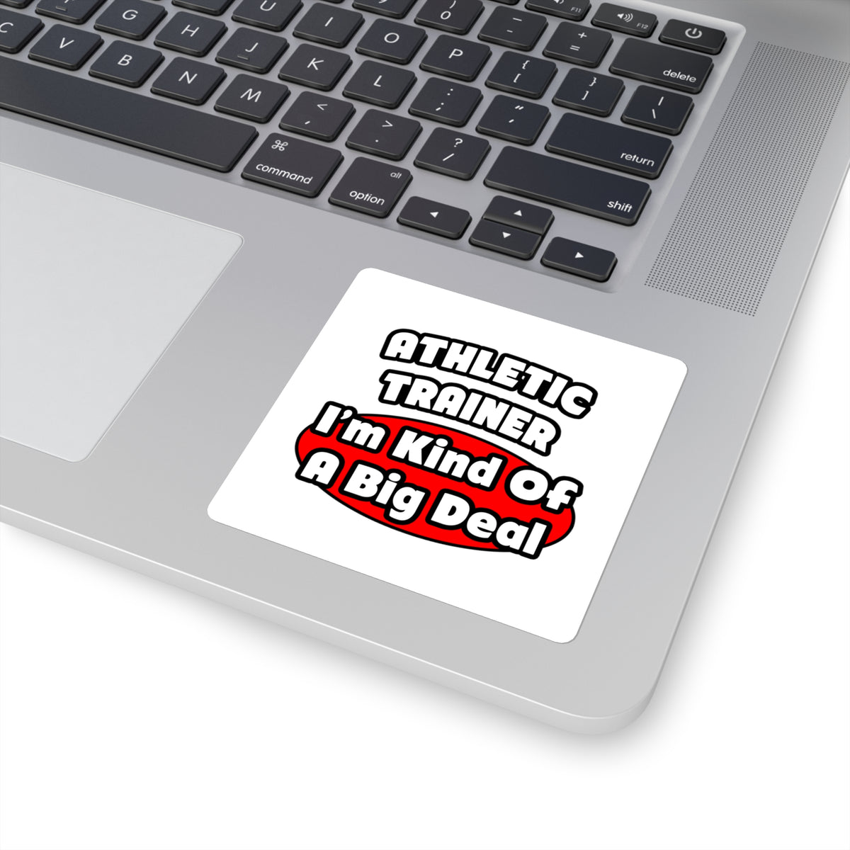 Athletic Trainer ... Big Deal - Square Stickers