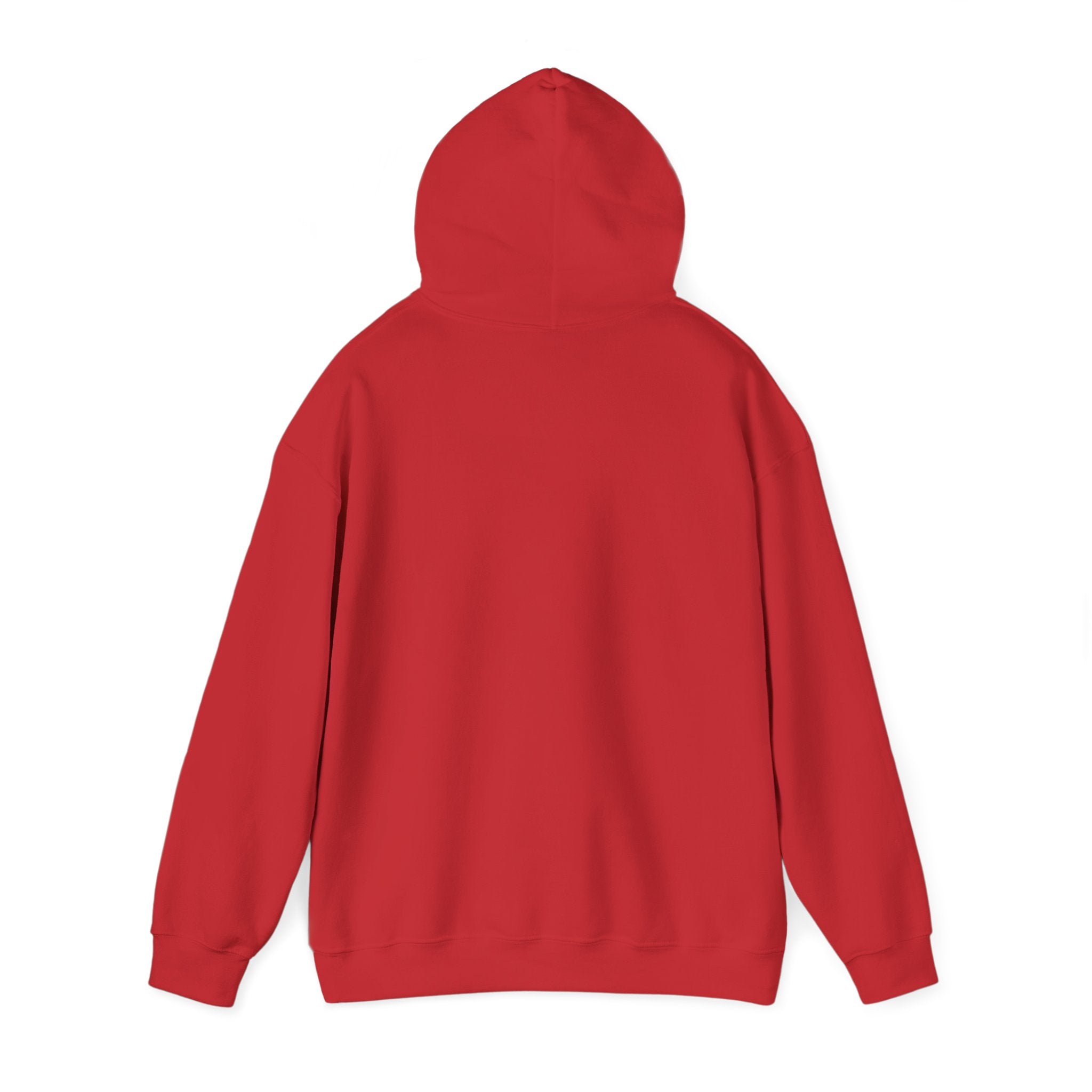 save horse ride teacher - Unisex Heavy Blend™ Hooded Sweatshirt