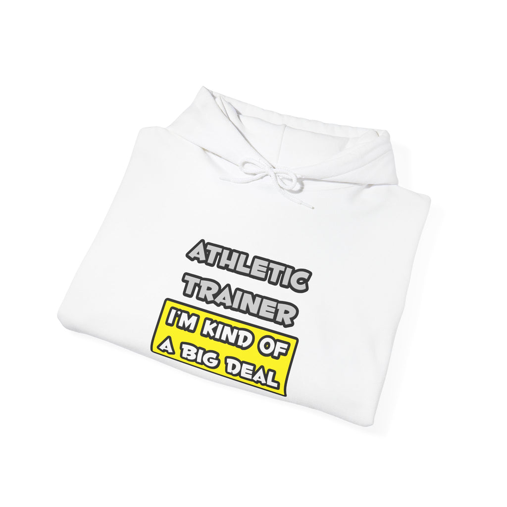 Athletic Trainer .. I'm Kind of a Big Deal - Unisex Heavy Blend™ Hooded Sweatshirt