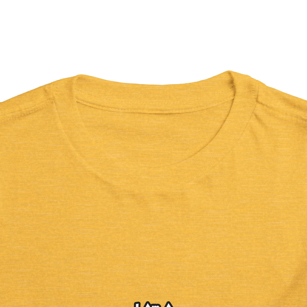 Professional Air Traffic Controller ... Don't Try - Toddler Short Sleeve Tee