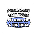 Ambulatory Care Nurse ... I'm Kind of a Big Deal - Square Stickers