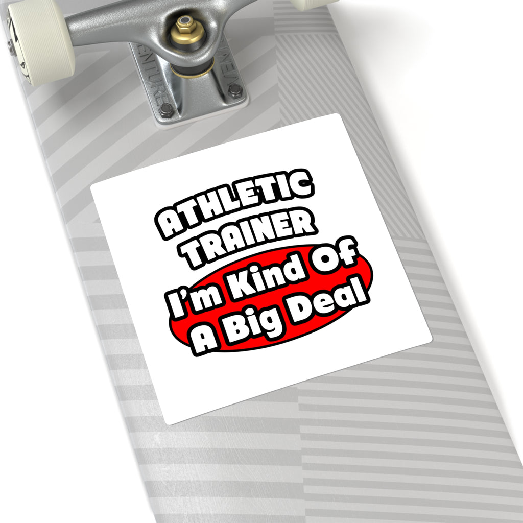 Athletic Trainer ... Big Deal - Square Stickers