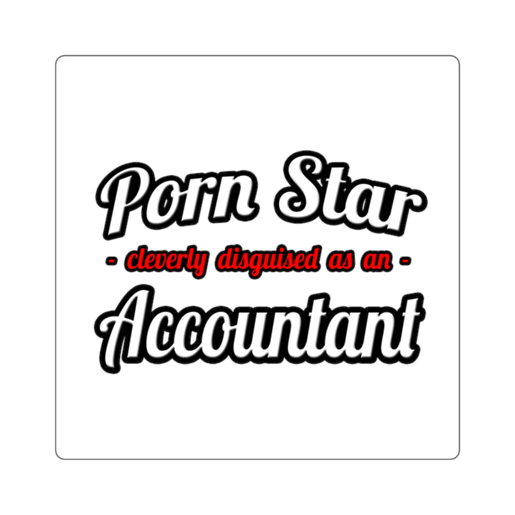 Porn Star... Accountant - Square Stickers