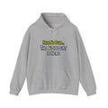 Have No Fear, The Audiologist Is Here - Unisex Heavy Blend™ Hooded Sweatshirt