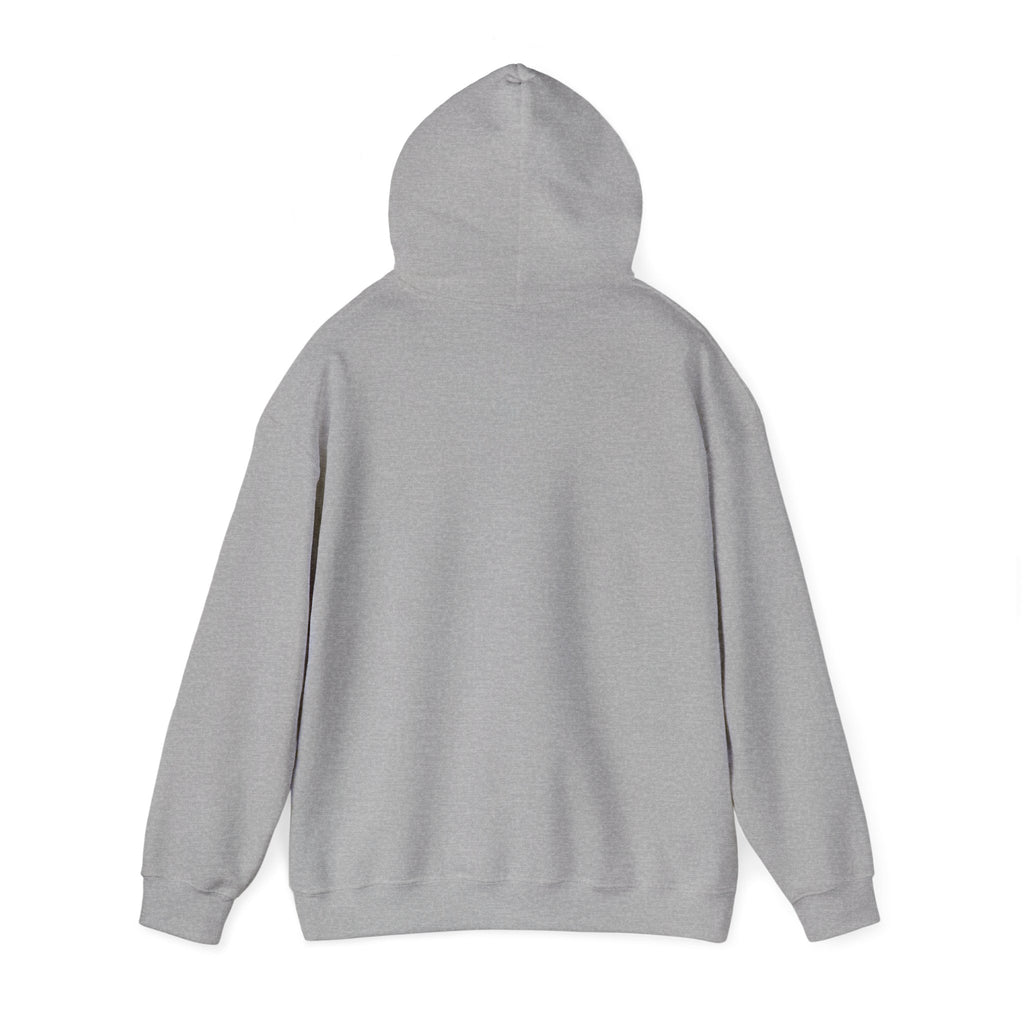 Risk Analysis...I Like This - Unisex Heavy Blend™ Hooded Sweatshirt