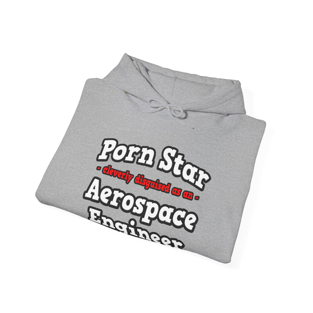 Porn Star...Aerospace Engineer - Unisex Heavy Blend™ Hooded Sweatshirt