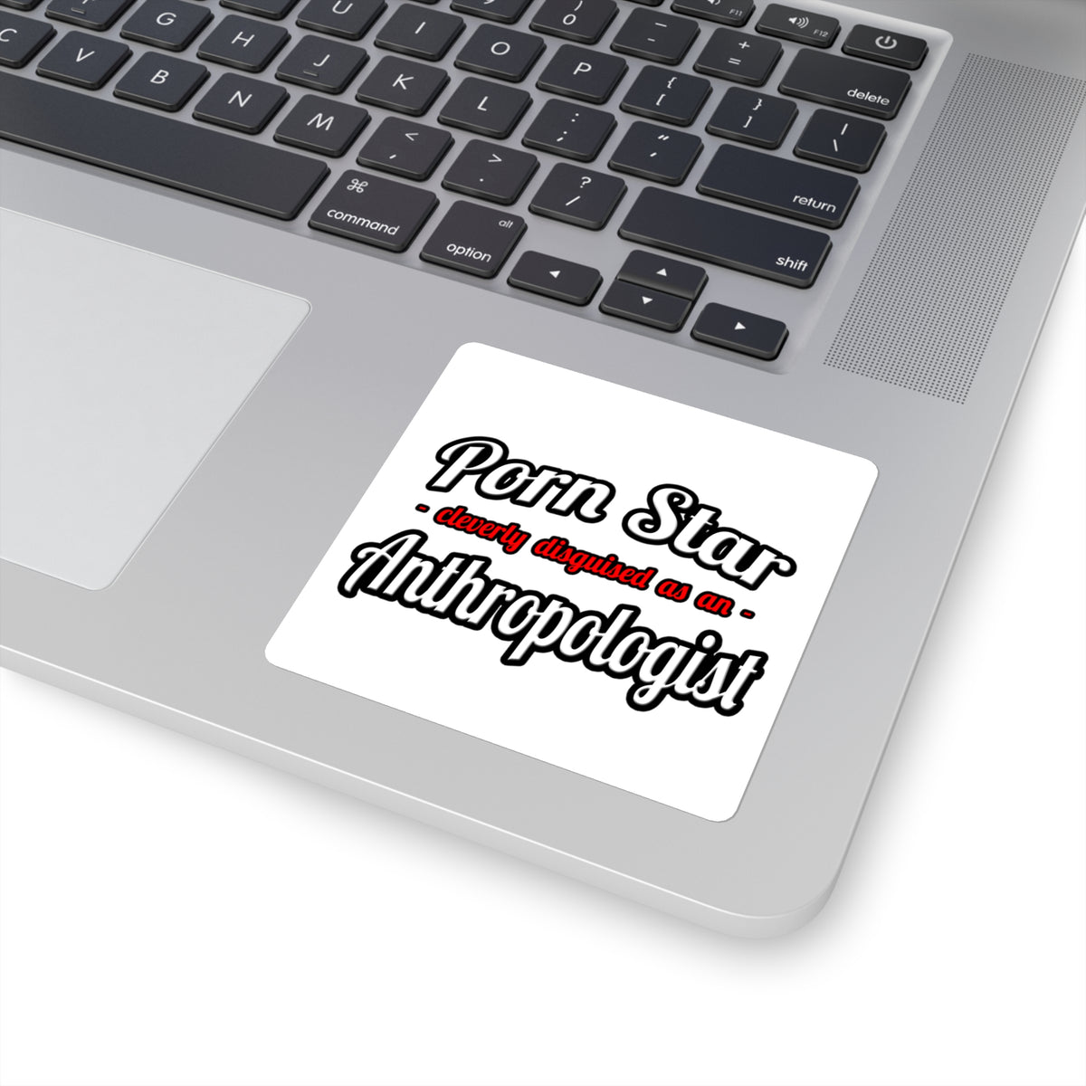 Porn Star...Anthropologist - Square Stickers