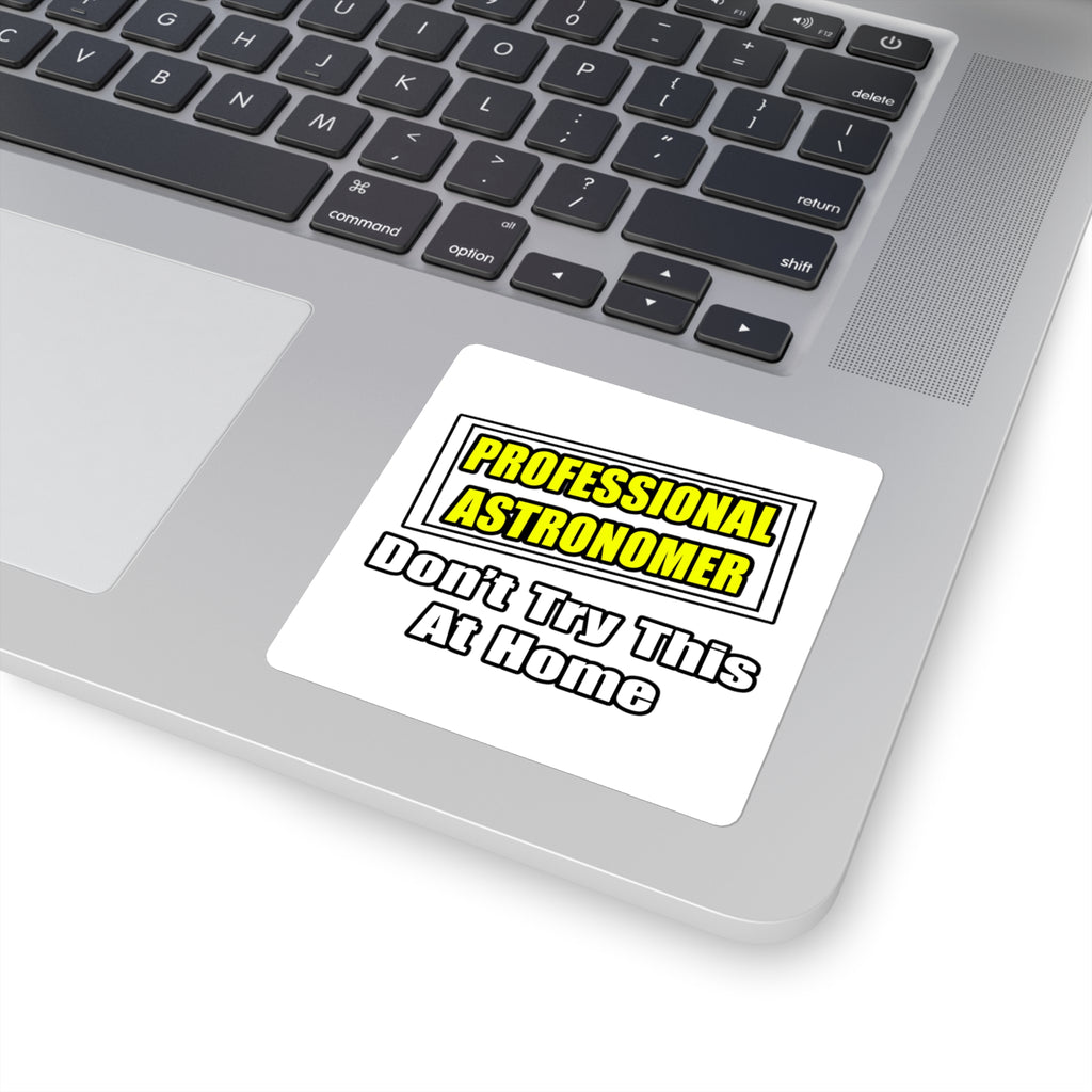 Professional Astronomer...Joke - Square Stickers