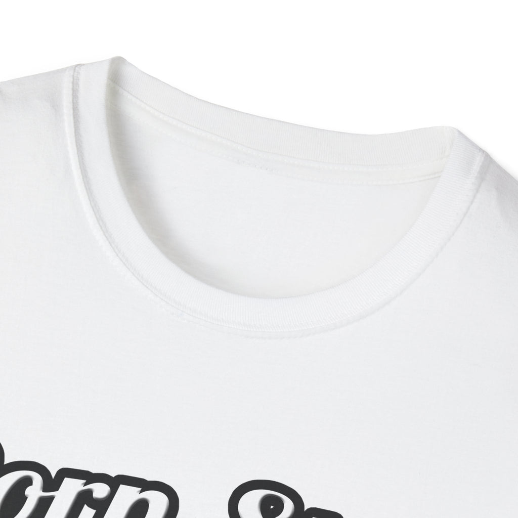 Porn Star...Electrical Engineer - Unisex Softstyle T-Shirt
