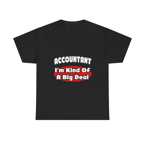 Accountant...Big Deal - Unisex Heavy Cotton Tee