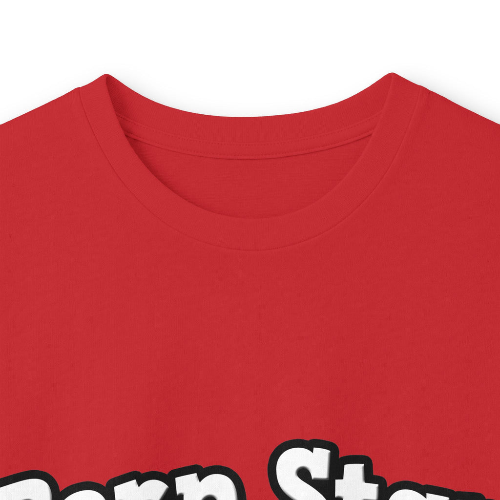 Porn Star...Aerospace Engineer - Unisex Ultra Cotton Long Sleeve Tee