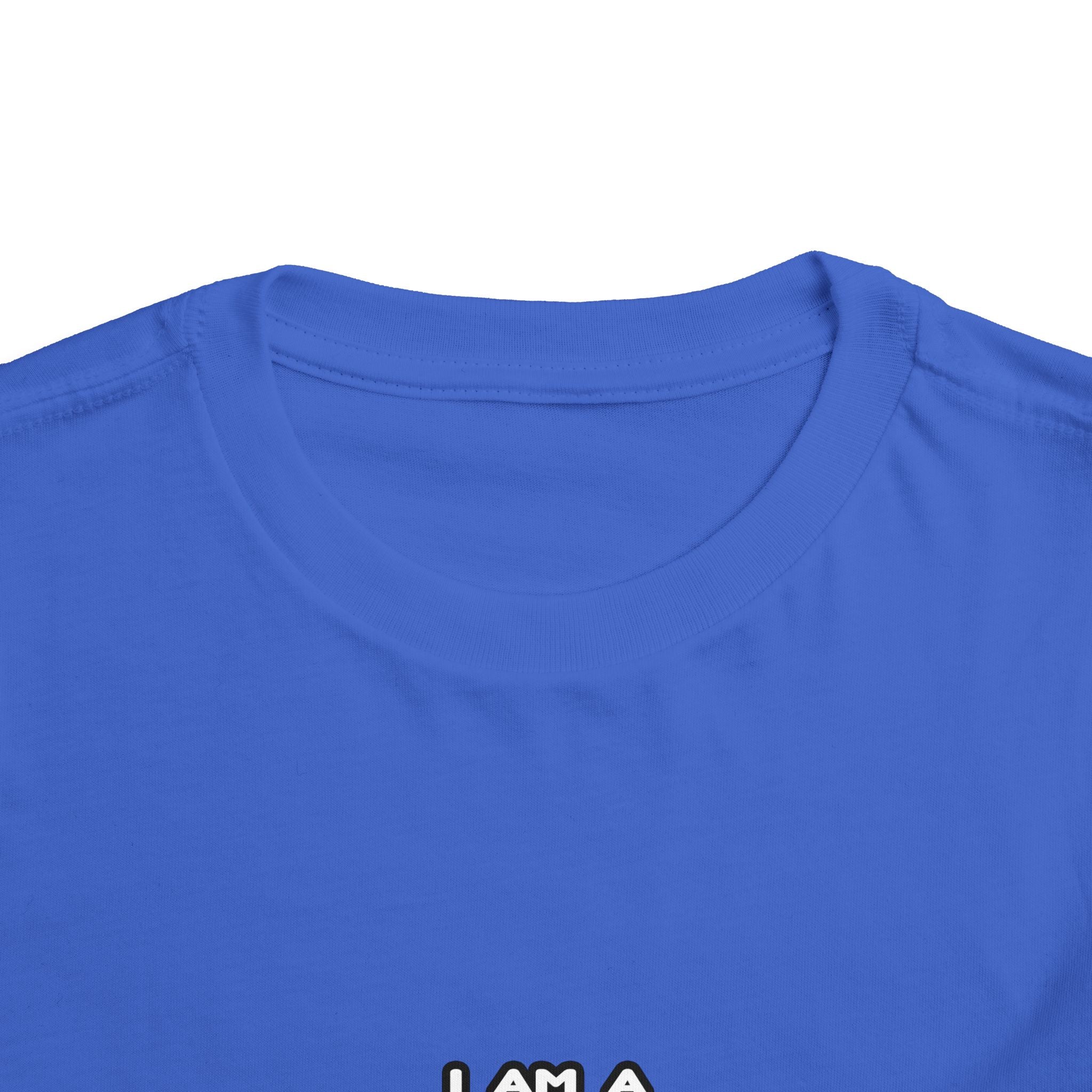 Funny Teacher T Shirts and Gifts - Toddler Short Sleeve Tee