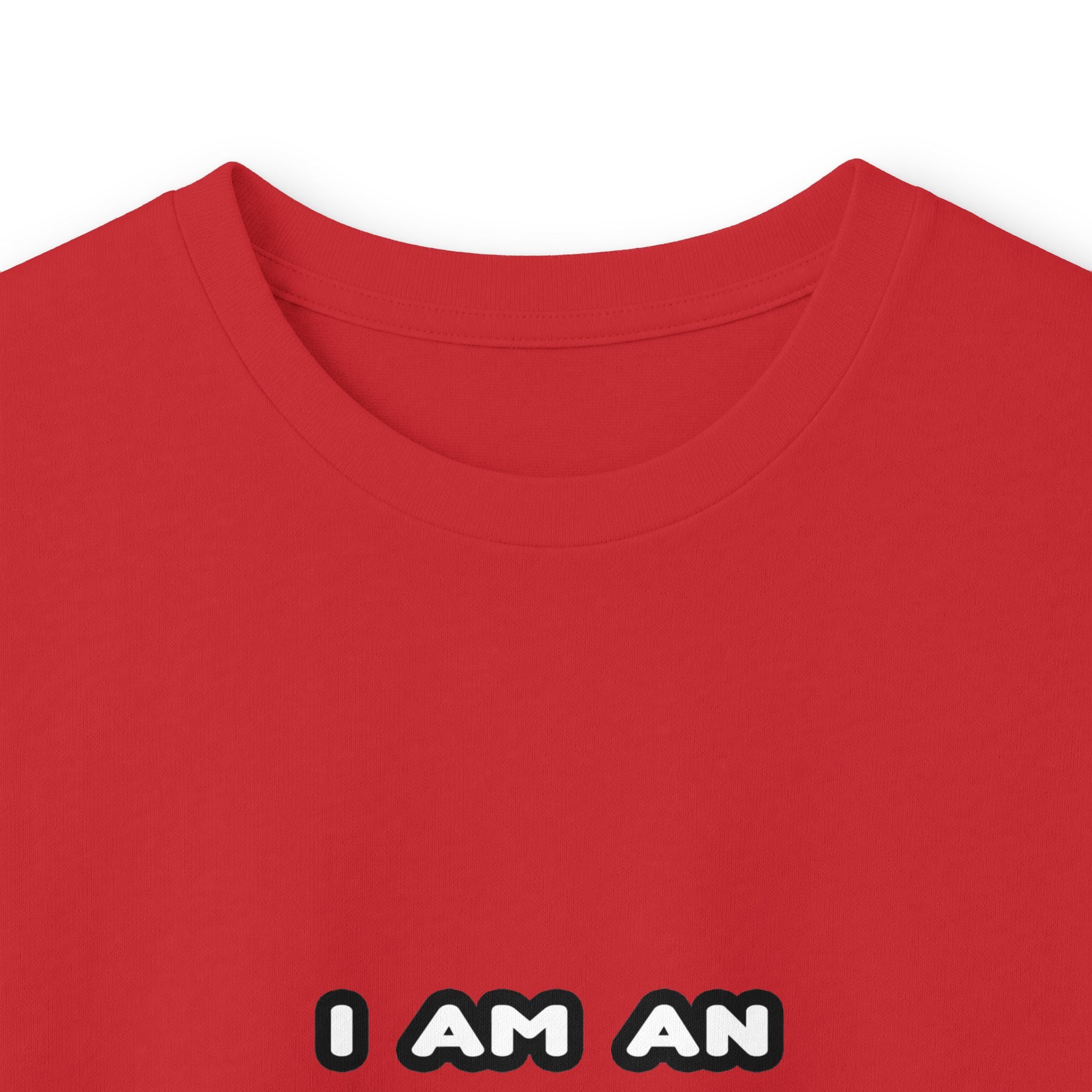 Funny Engineer T Shirts and Gifts - Unisex Ultra Cotton Long Sleeve Tee