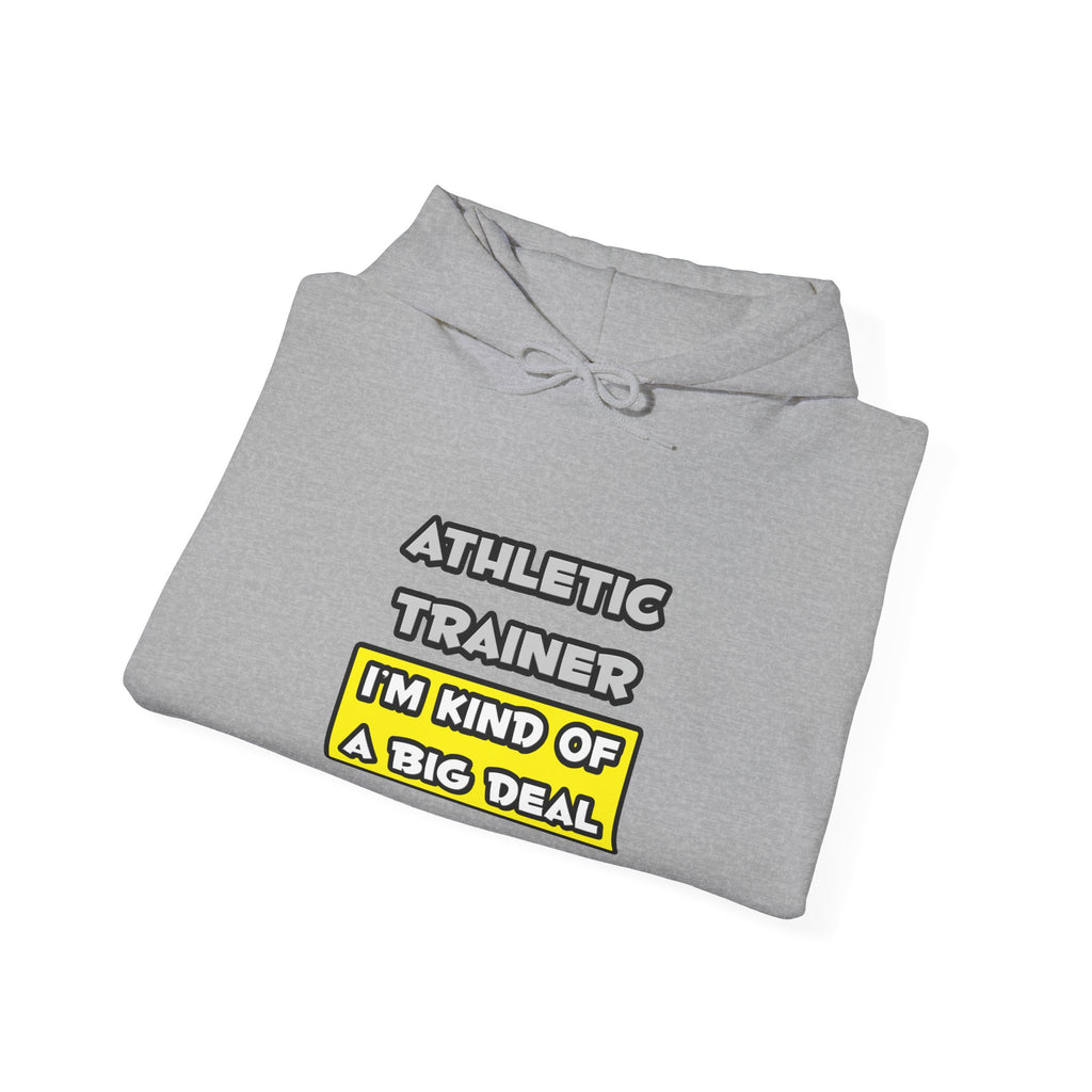 Athletic Trainer .. I'm Kind of a Big Deal - Unisex Heavy Blend™ Hooded Sweatshirt