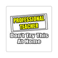 Professional Teacher...Don't Try This At Home - Square Stickers