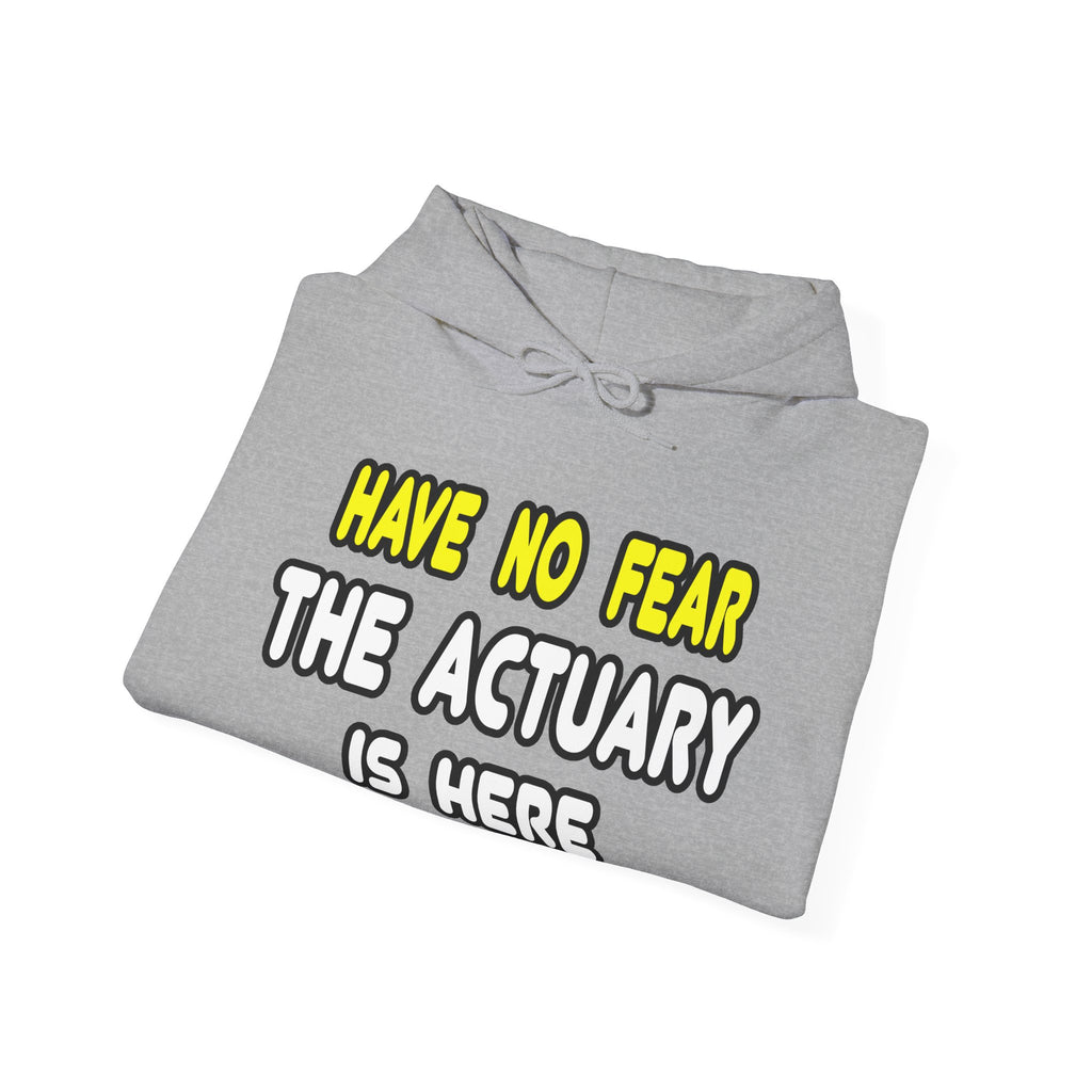 Have No Fear, The Actuary Is Here (2) - Unisex Heavy Blend™ Hooded Sweatshirt