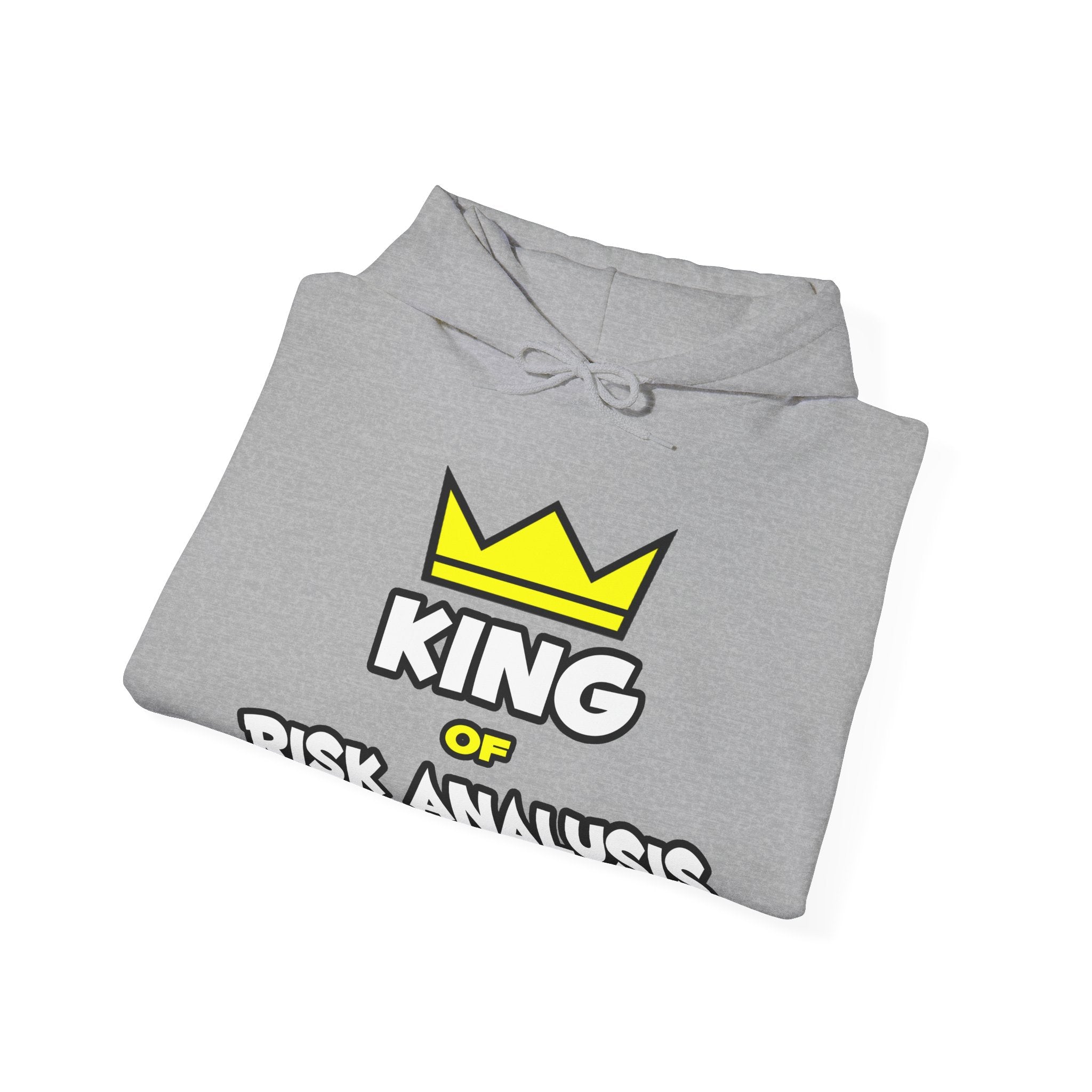 King of Risk Analysis - Unisex Heavy Blend™ Hooded Sweatshirt