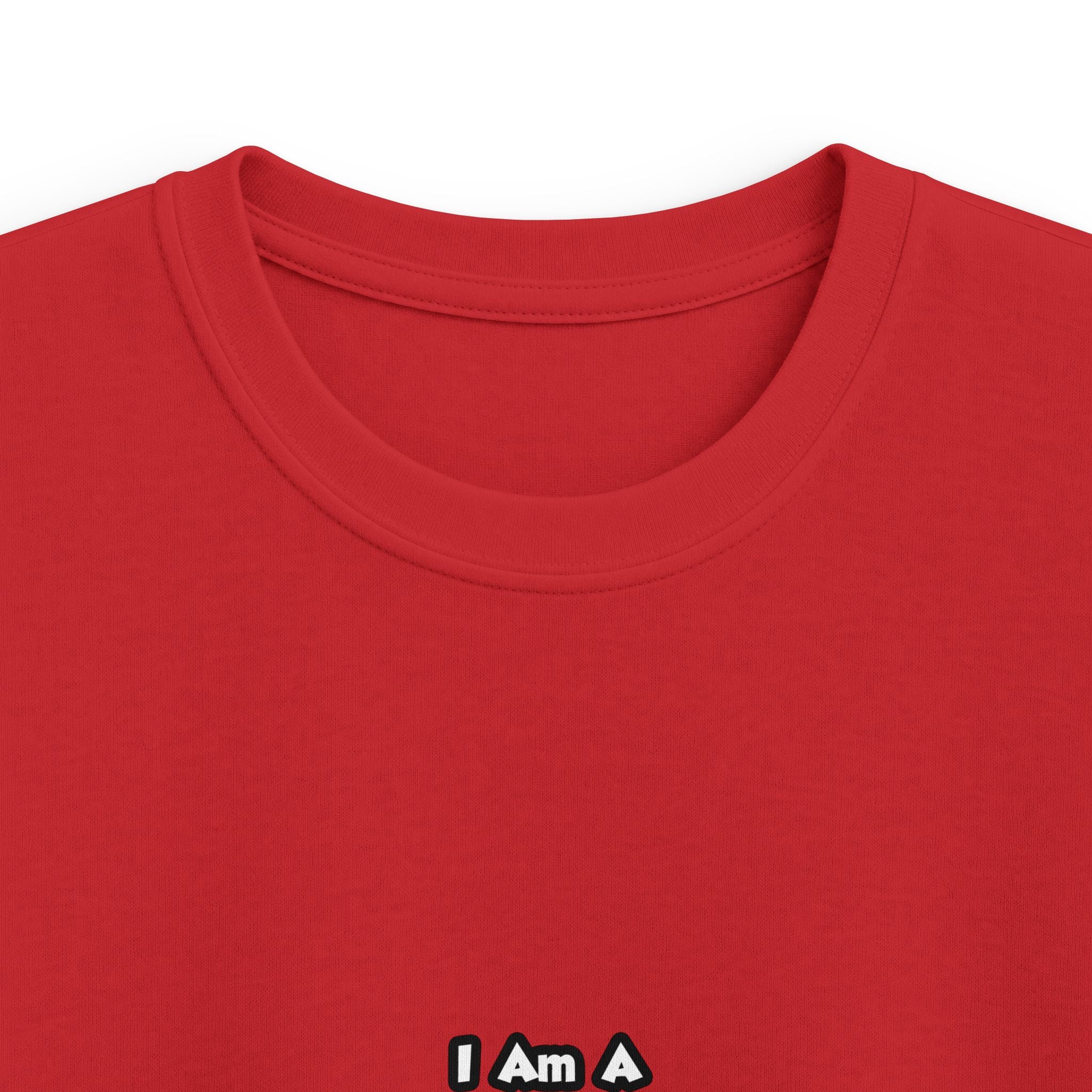 Professional Air Traffic Controller ... Don't Try - Kids Softstyle Tee