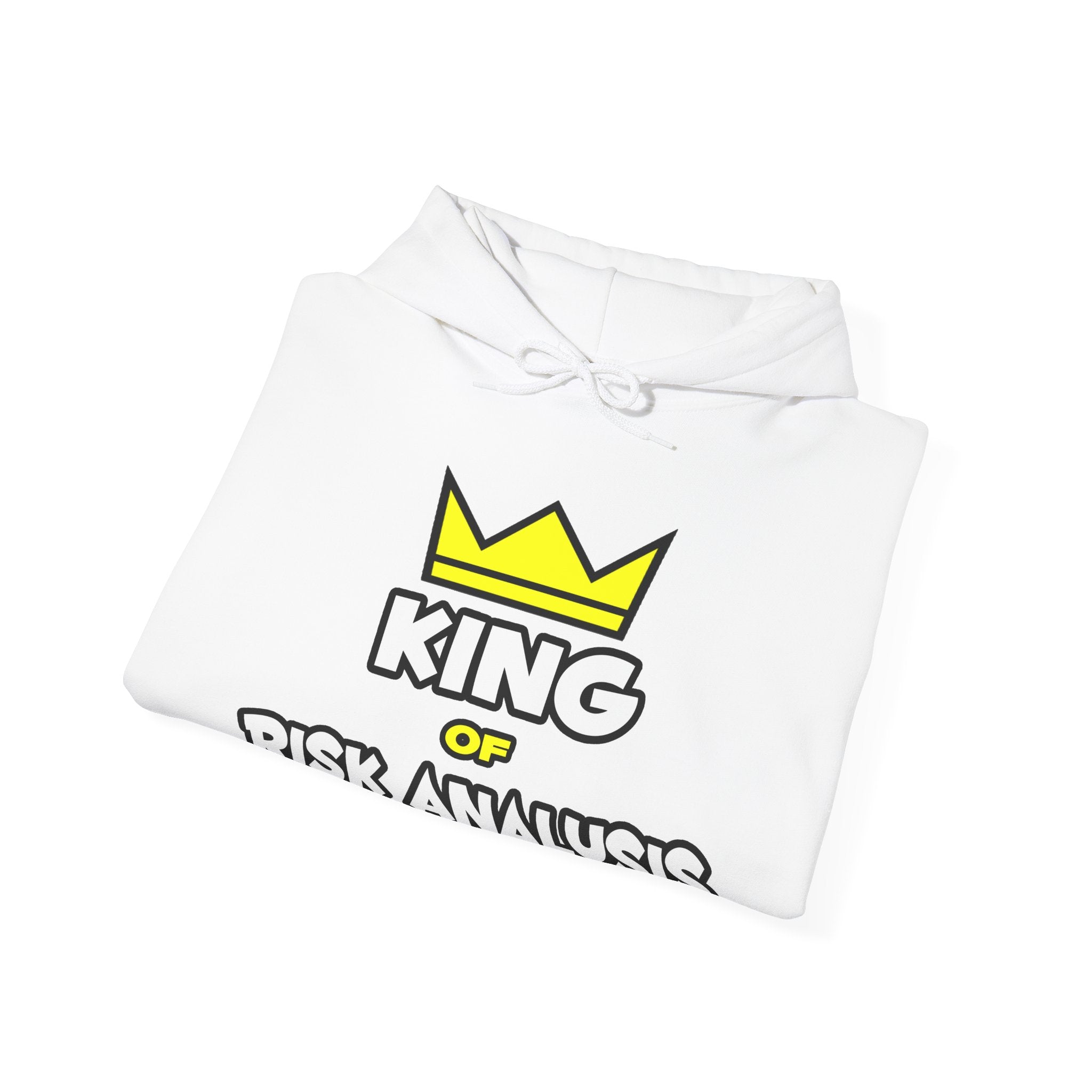 King of Risk Analysis - Unisex Heavy Blend™ Hooded Sweatshirt