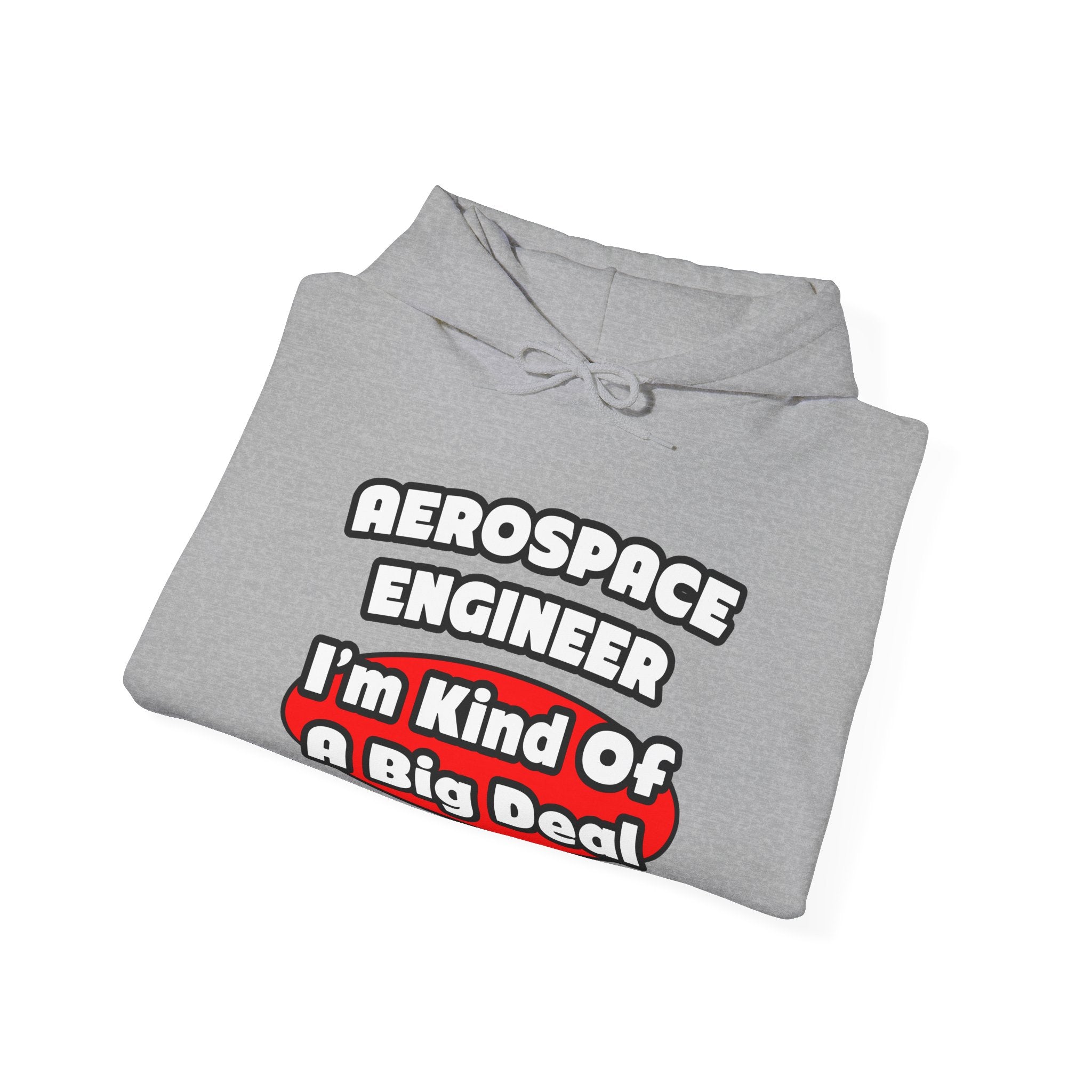 Aerospace Engineer...Big Deal - Unisex Heavy Blend™ Hooded Sweatshirt
