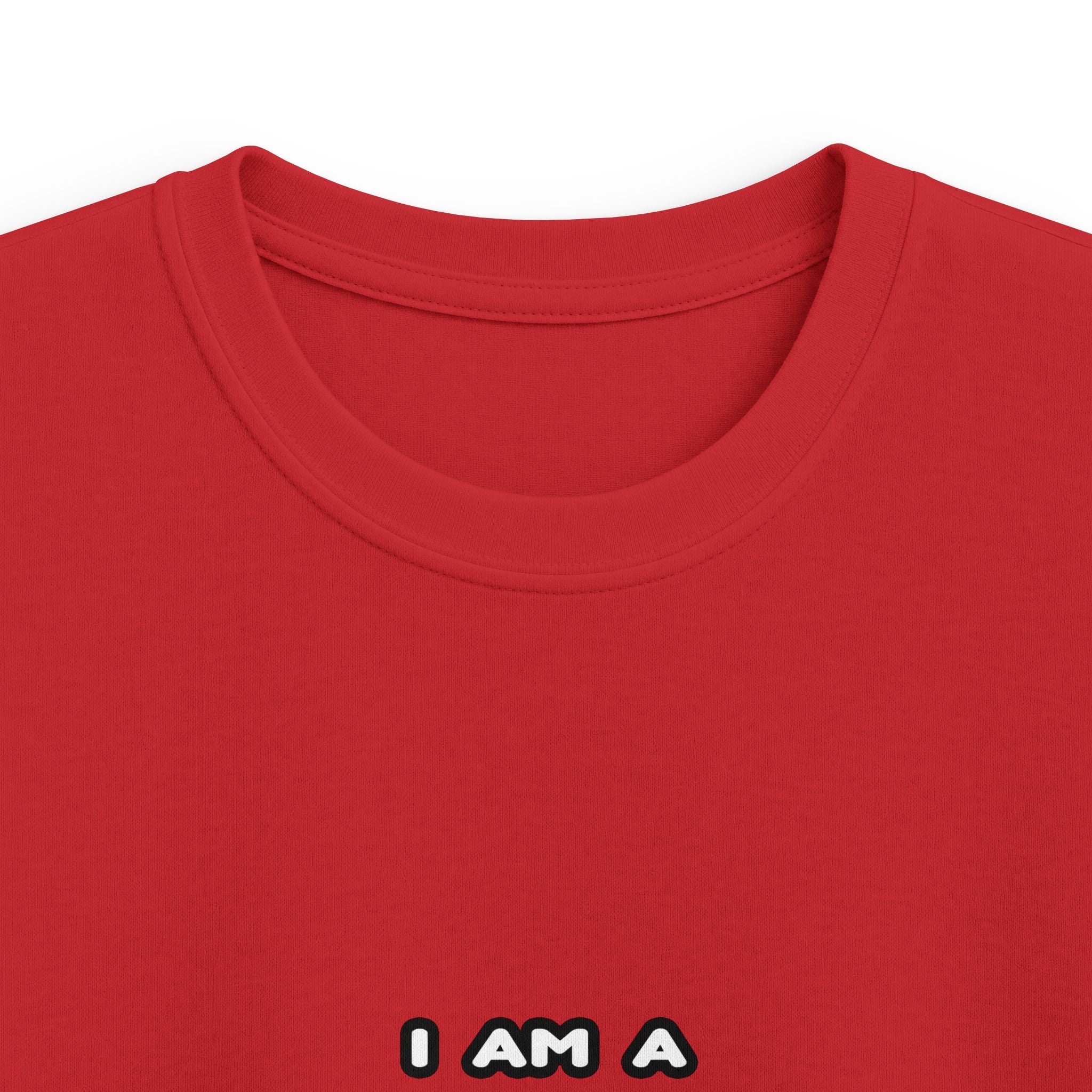 Funny Teacher T Shirts and Gifts - Kids Softstyle Tee
