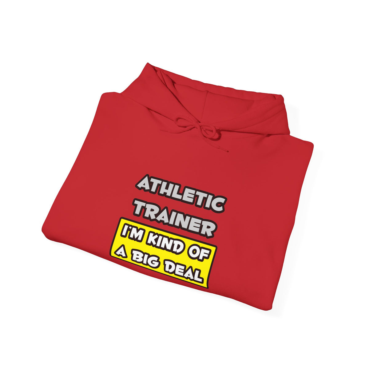 Athletic Trainer .. I'm Kind of a Big Deal - Unisex Heavy Blend™ Hooded Sweatshirt