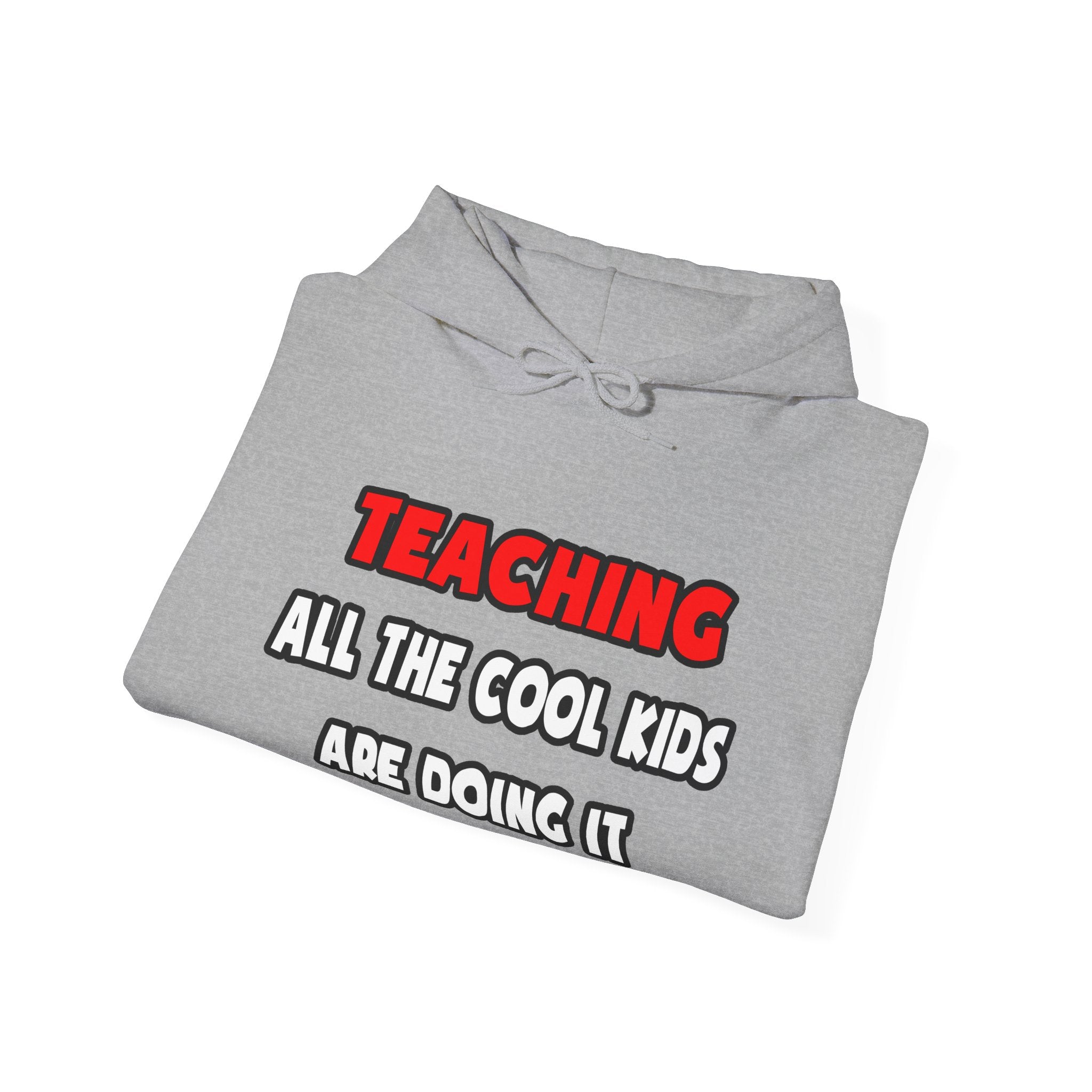 Funny Teacher Shirts and Gifts - Unisex Heavy Blend™ Hooded Sweatshirt