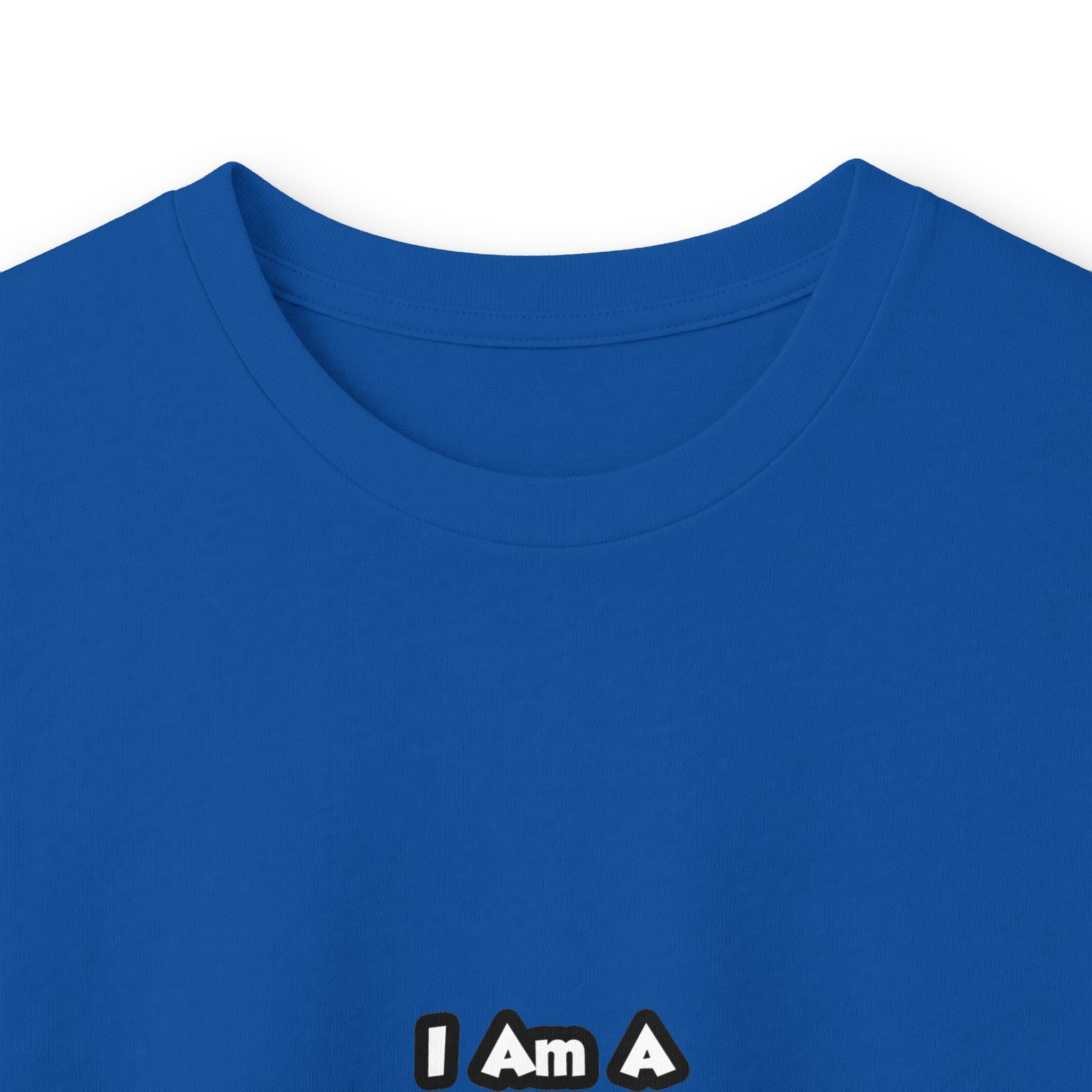 Professional Air Traffic Controller ... Don't Try - Unisex Ultra Cotton Long Sleeve Tee