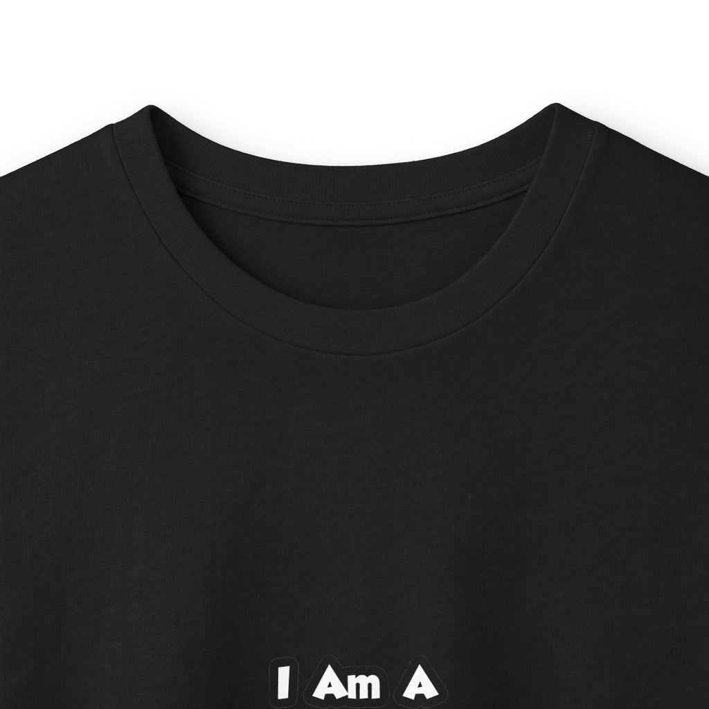 Professional Air Traffic Controller ... Don't Try - Unisex Ultra Cotton Long Sleeve Tee