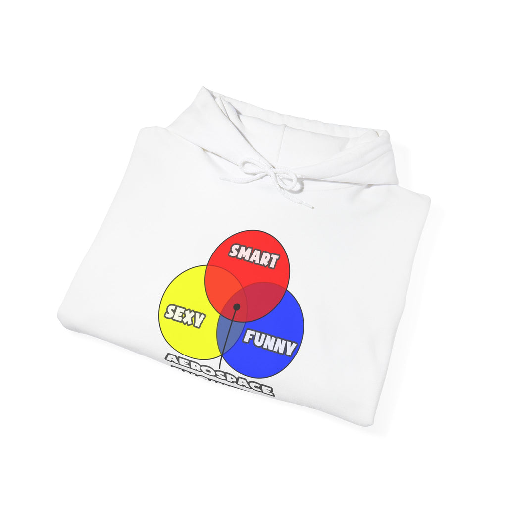 Venn Diagram .. Aerospace Engineers - Unisex Heavy Blend™ Hooded Sweatshirt