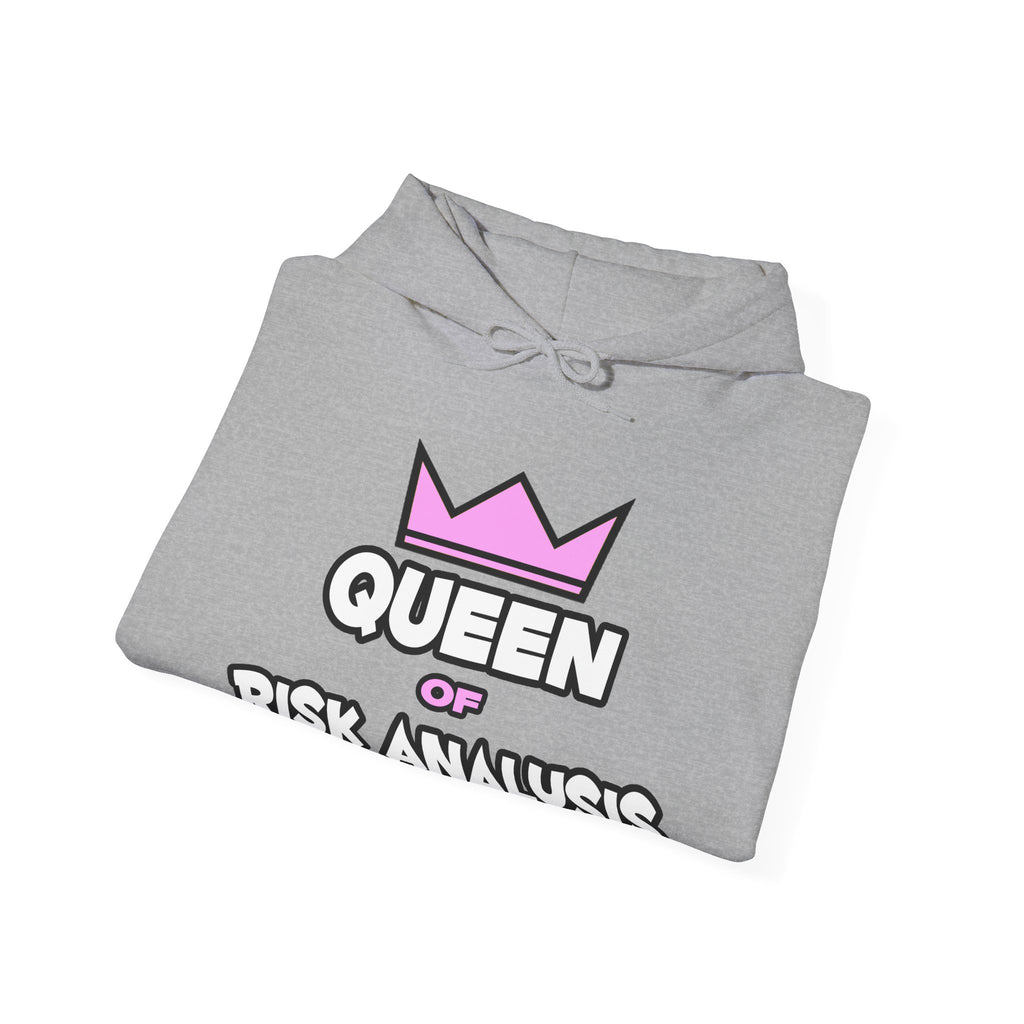 Queen of Risk Analysis - Unisex Heavy Blend™ Hooded Sweatshirt