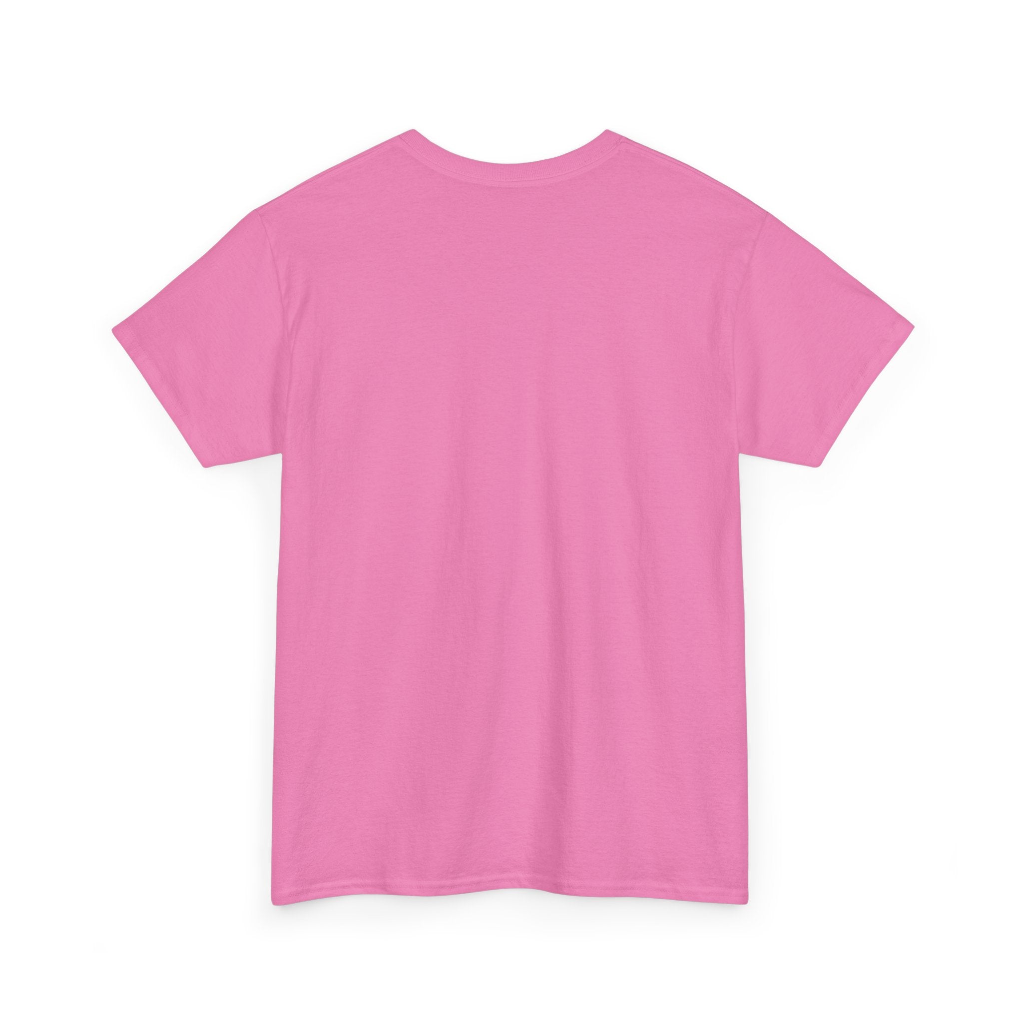 No Whining In Risk Analysis - Unisex Heavy Cotton Tee
