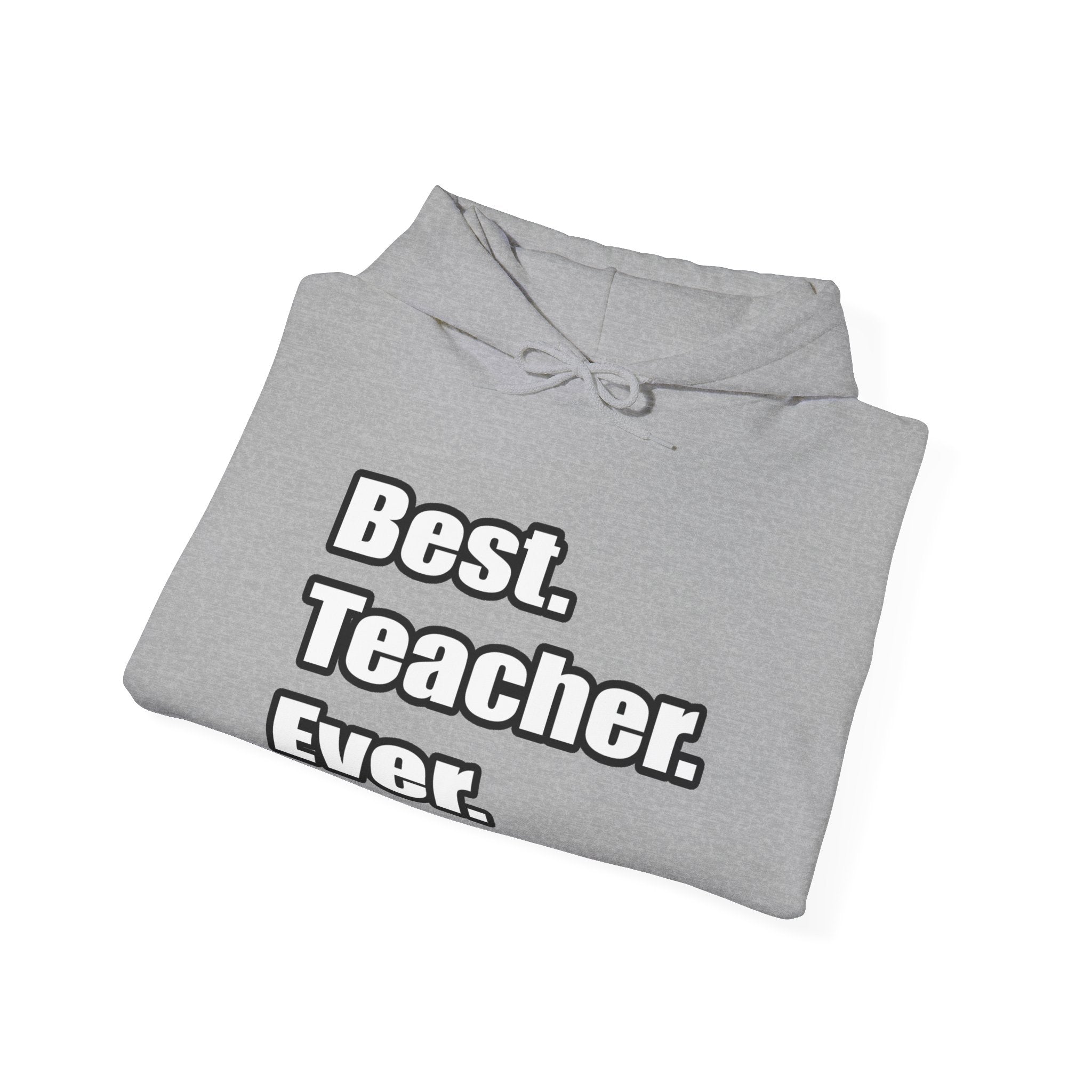 best teacher ever - Unisex Heavy Blend™ Hooded Sweatshirt