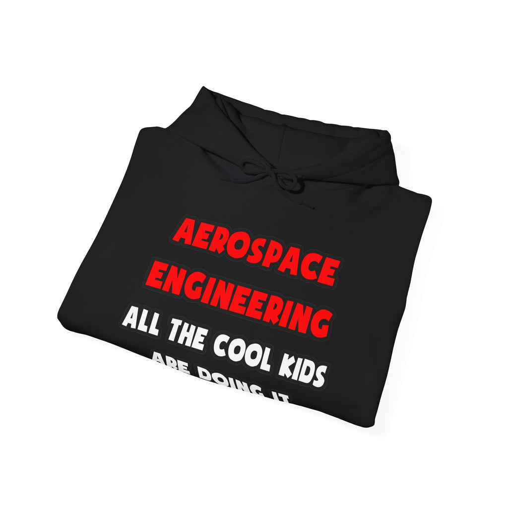 Funny Aerospace Engineer Shirts and Gifts - Unisex Heavy Blend™ Hooded Sweatshirt