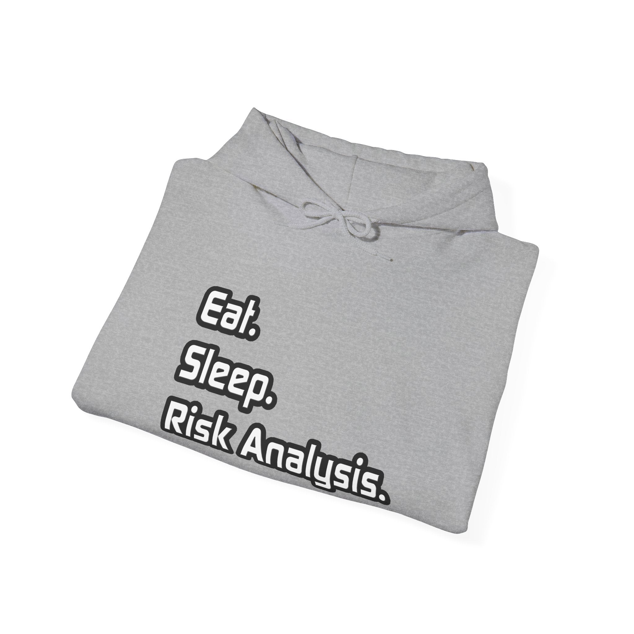 Eat. Sleep. Risk Analysis - Unisex Heavy Blend™ Hooded Sweatshirt