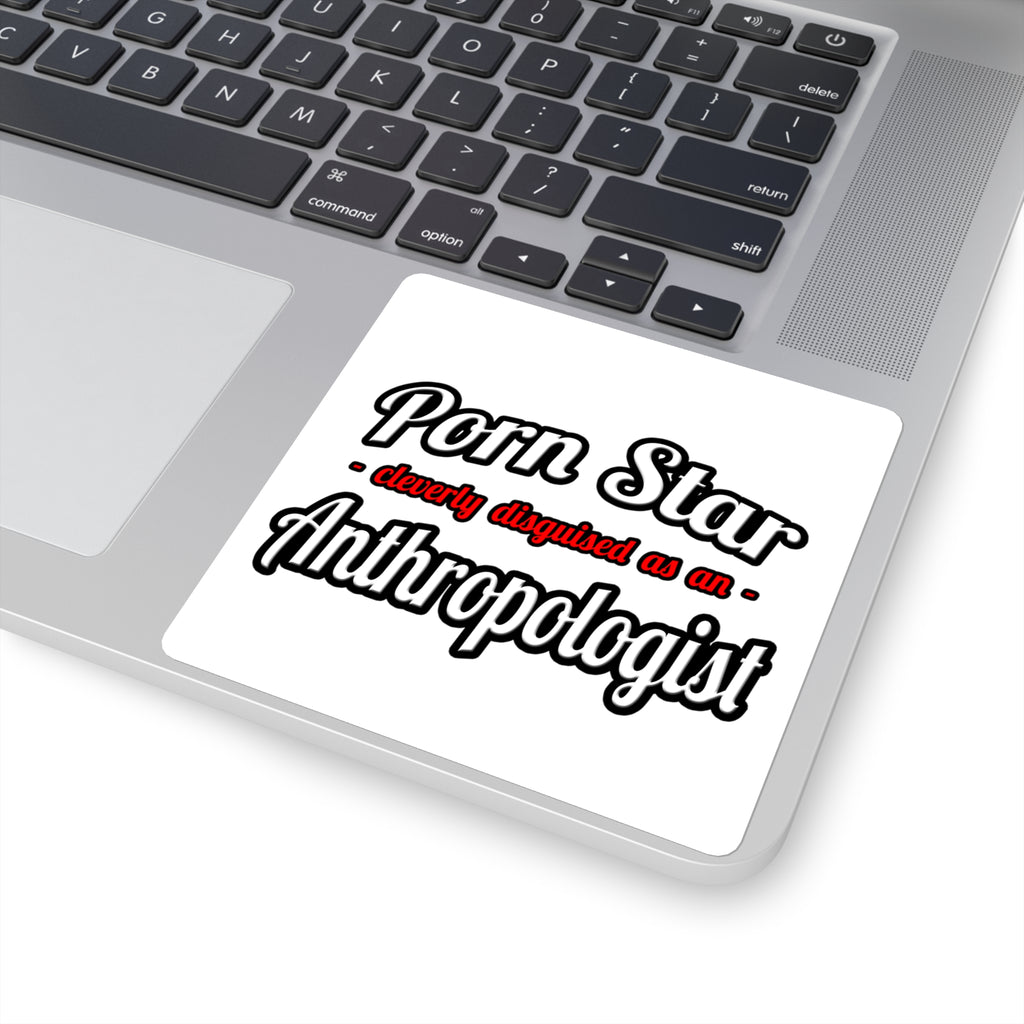 Porn Star...Anthropologist - Square Stickers