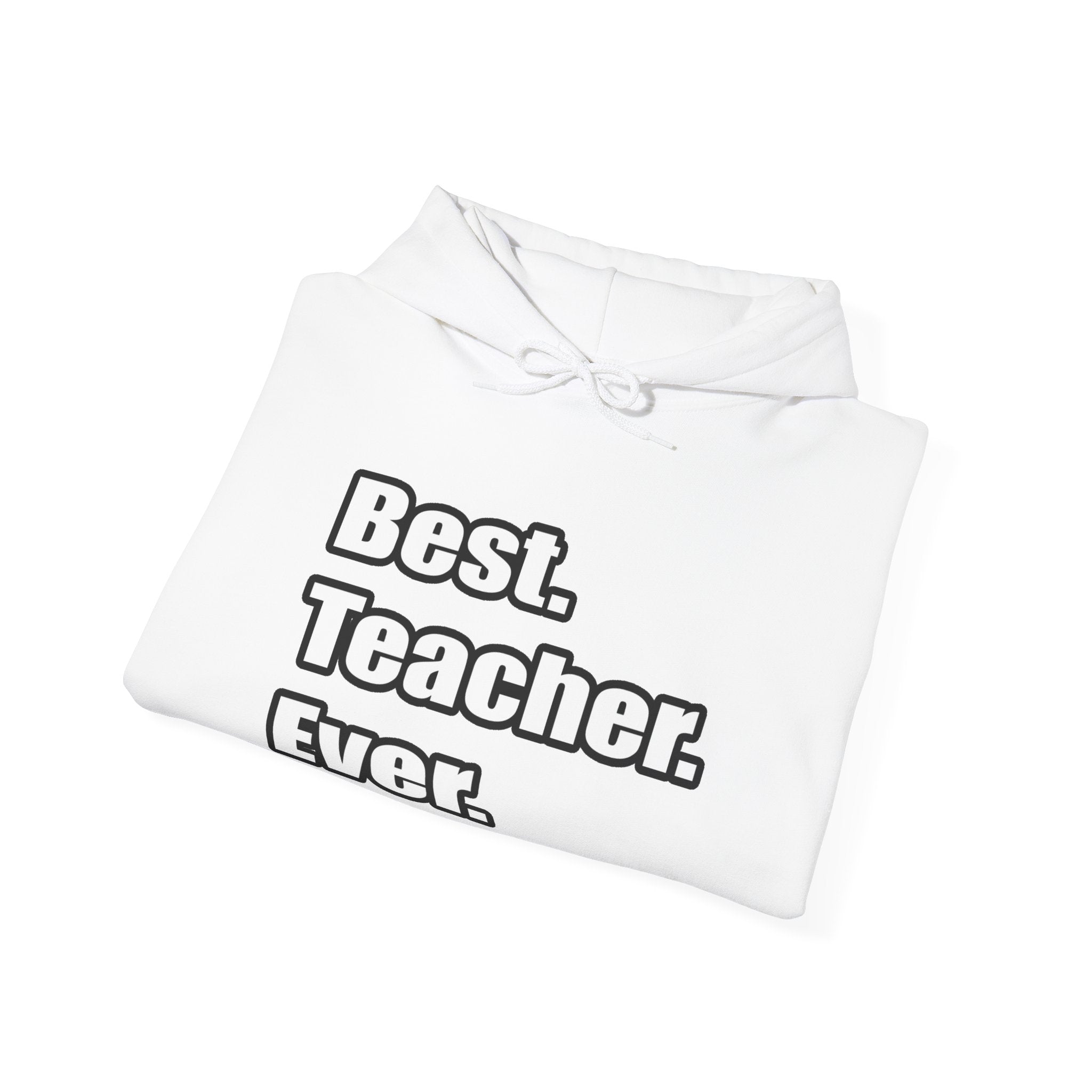 best teacher ever - Unisex Heavy Blend™ Hooded Sweatshirt