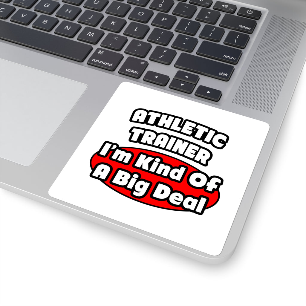 Athletic Trainer ... Big Deal - Square Stickers