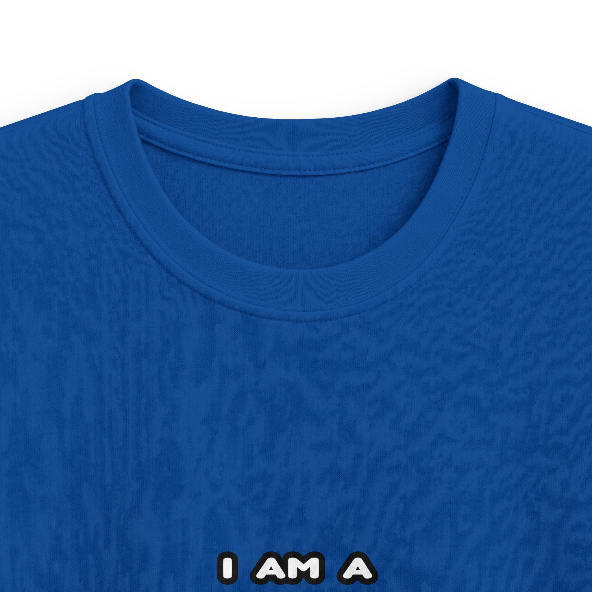 Funny Teacher T Shirts and Gifts - Kids Softstyle Tee