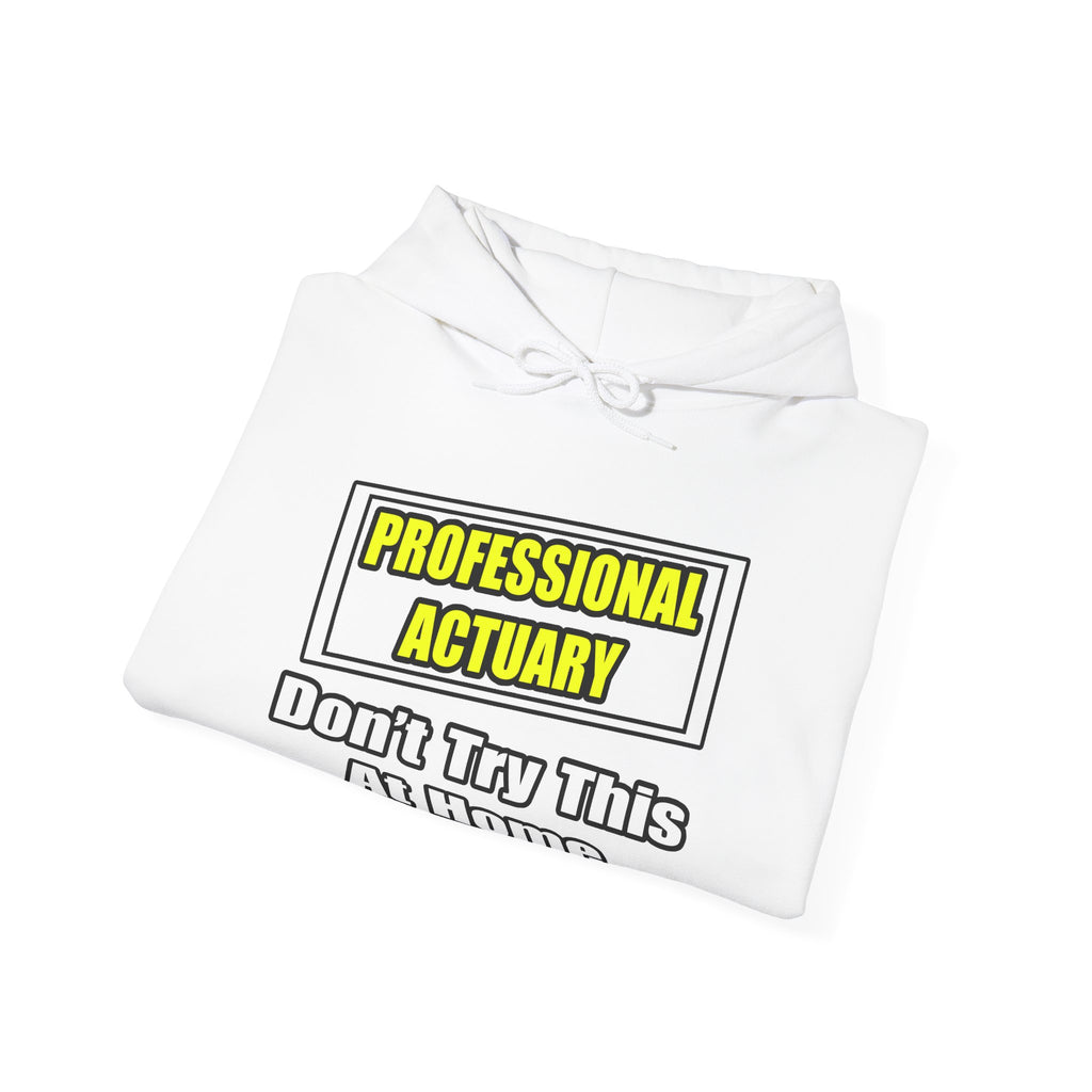 Professional Actuary...Don't Try This At Home - Unisex Heavy Blend™ Hooded Sweatshirt
