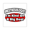 Anesthesiologist...Big Deal - Square Stickers